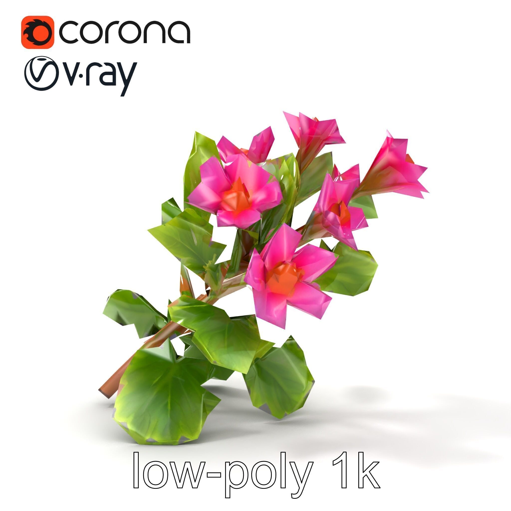Carduus Crispus Curly Leaf Flower model pack Low-poly 3D model_12