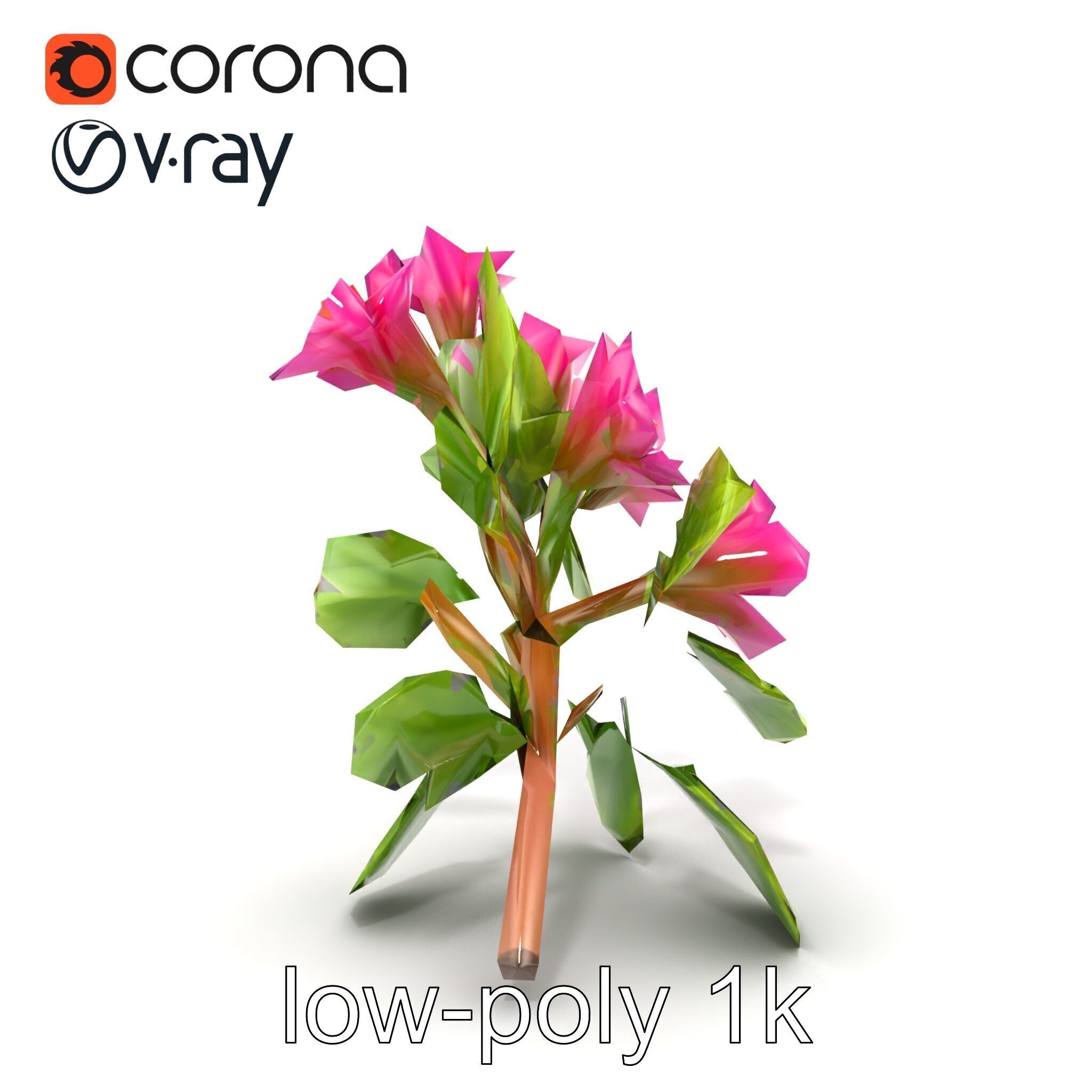 Carduus Crispus Curly Leaf Flower model pack Low-poly 3D model_16