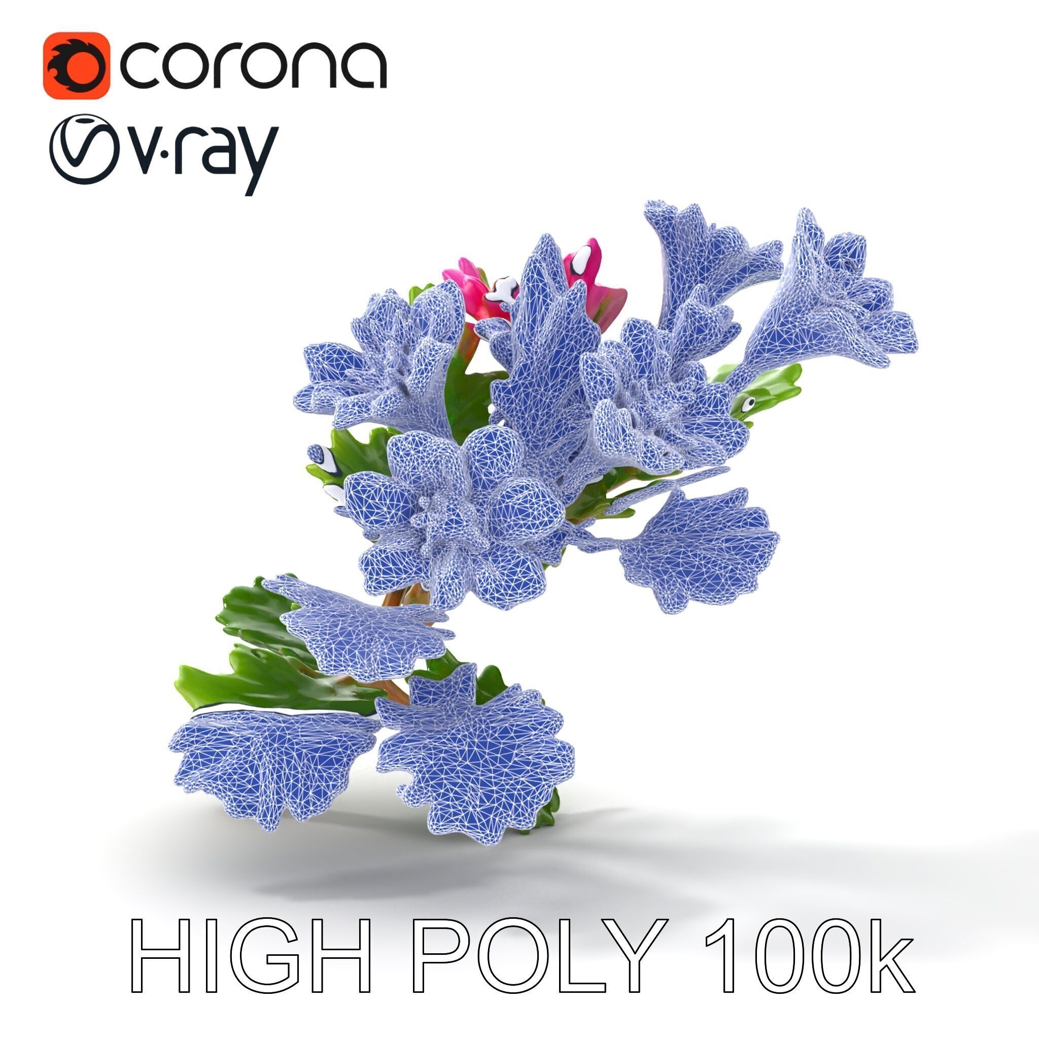 Carduus Crispus Curly Leaf Flower model pack Low-poly 3D model_20
