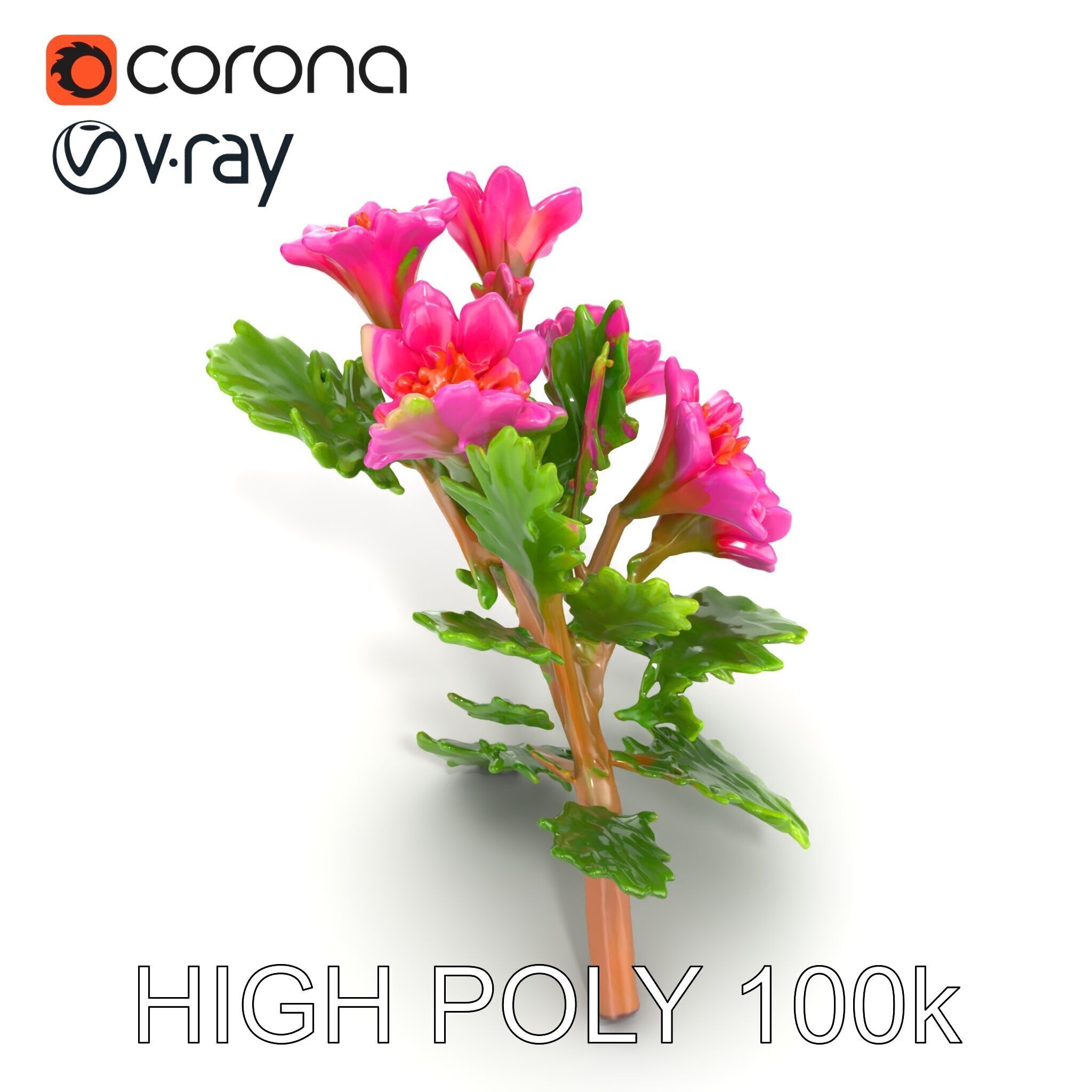 Carduus Crispus Curly Leaf Flower model pack Low-poly 3D model_22