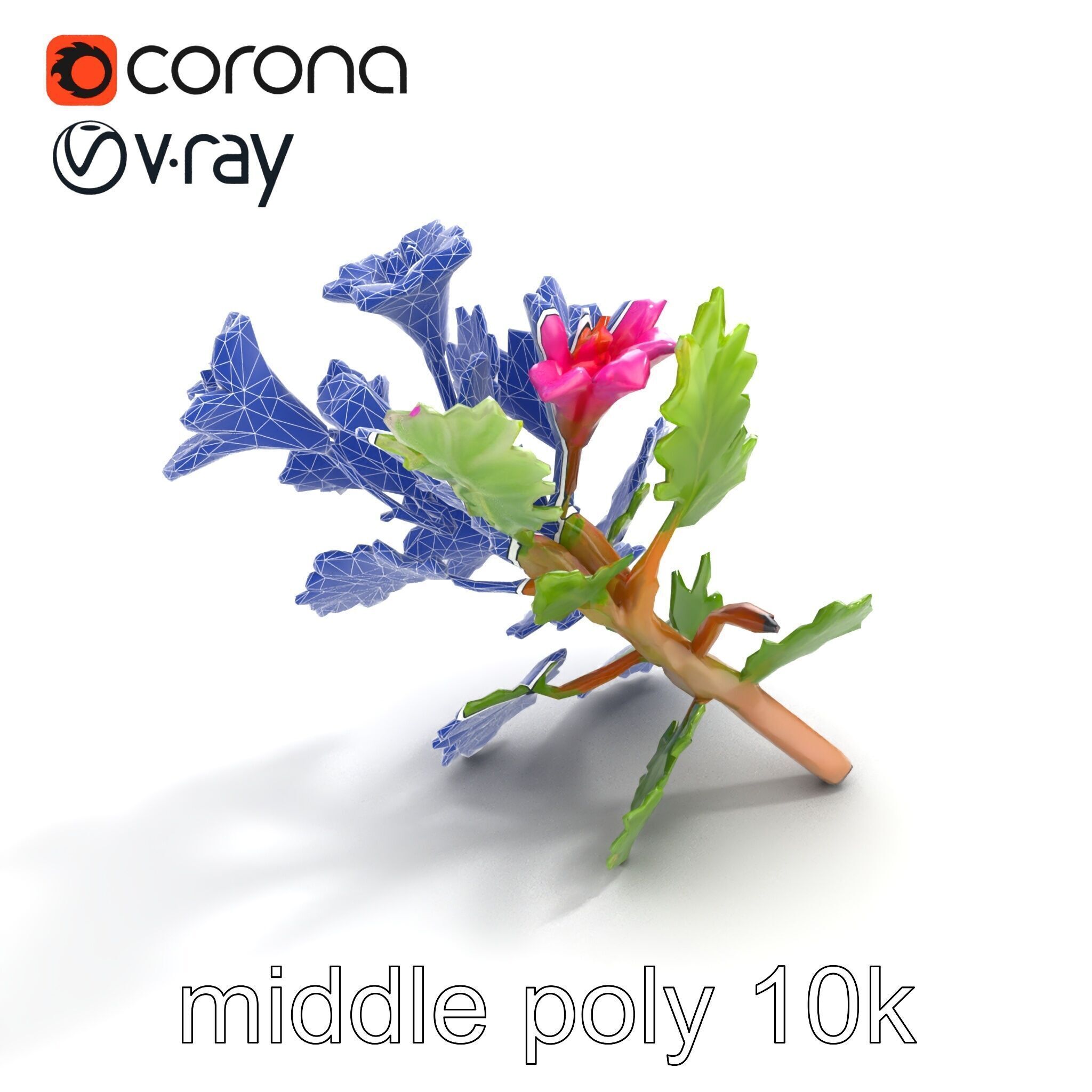 Carduus Crispus Curly Leaf Flower model pack Low-poly 3D model_11
