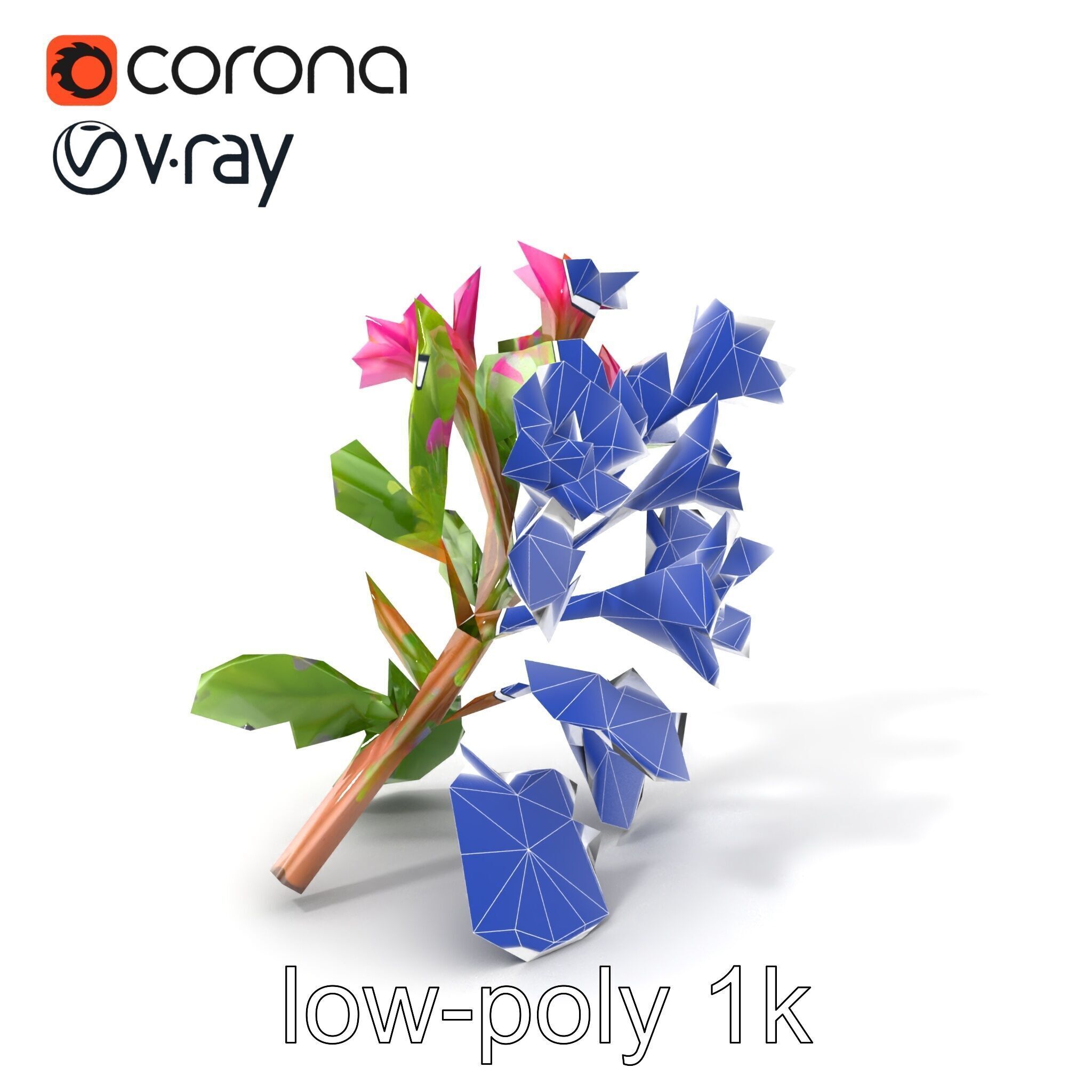 Carduus Crispus Curly Leaf Flower model pack Low-poly 3D model_7