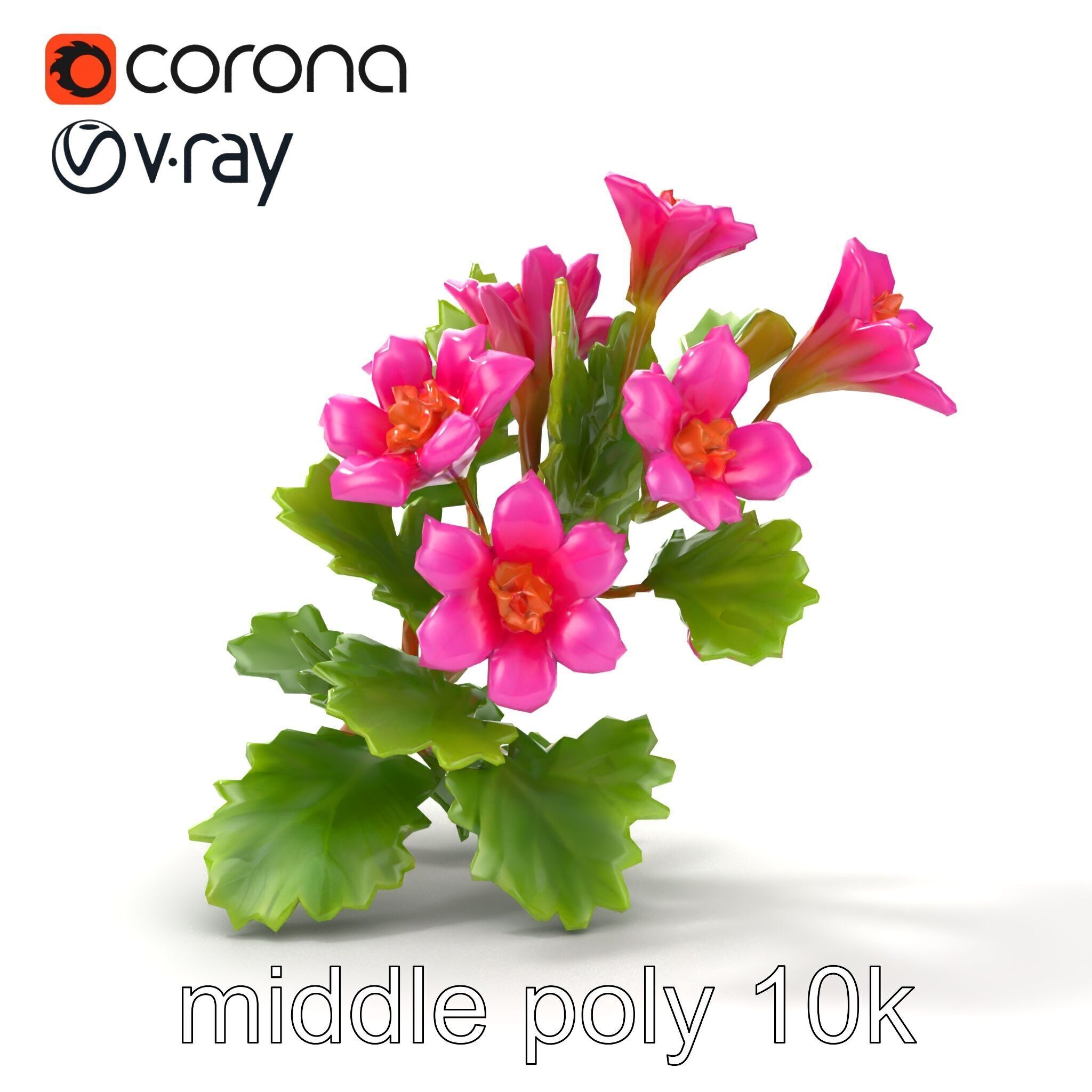 Carduus Crispus Curly Leaf Flower model pack Low-poly 3D model_15