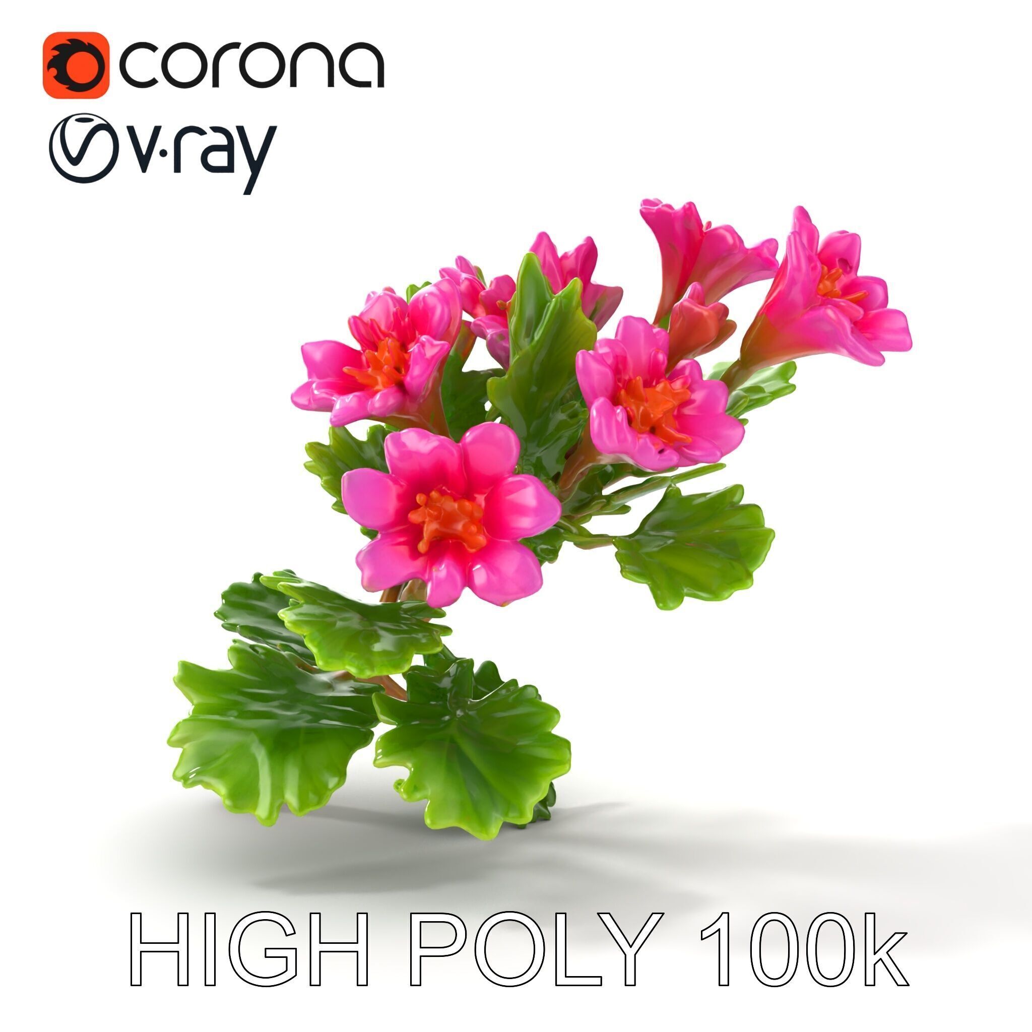Carduus Crispus Curly Leaf Flower model pack Low-poly 3D model_14