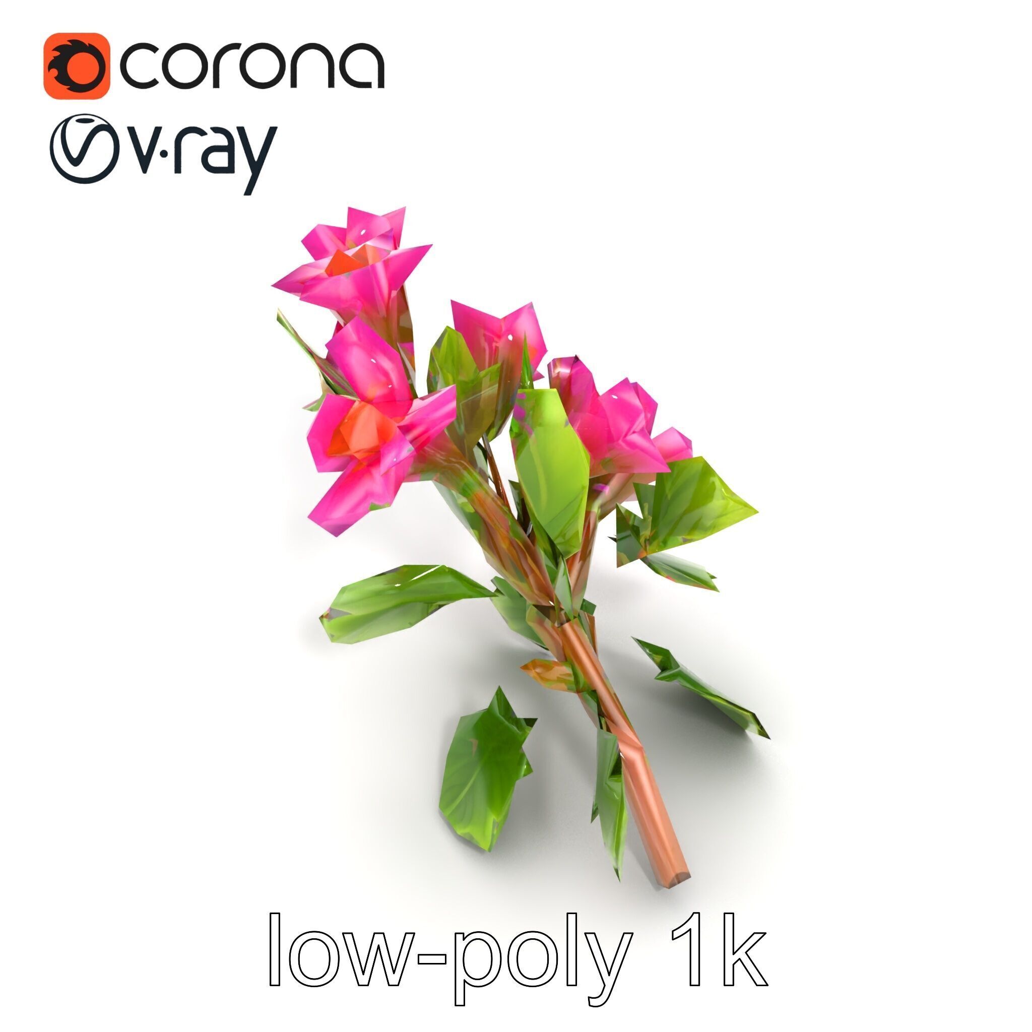 Carduus Crispus Curly Leaf Flower model pack Low-poly 3D model_27