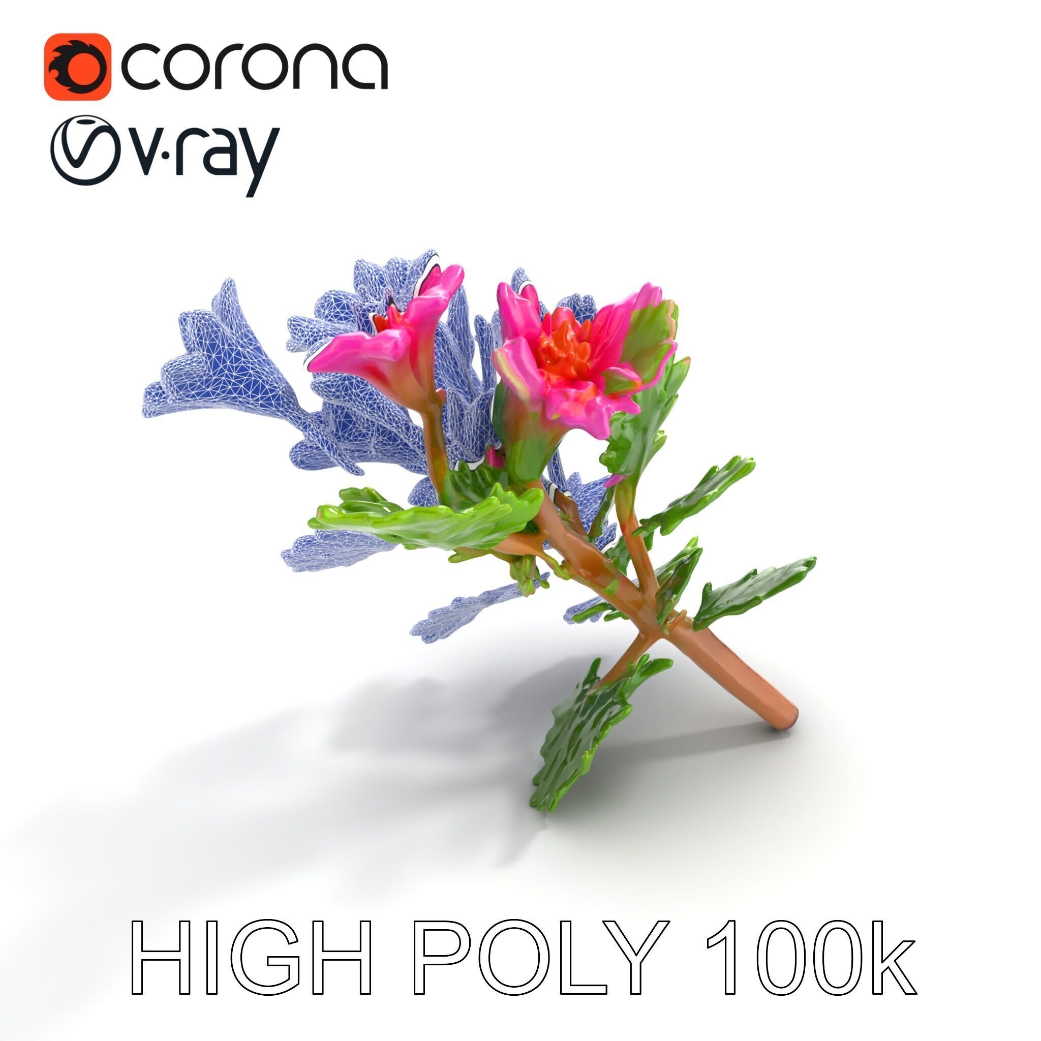 Carduus Crispus Curly Leaf Flower model pack Low-poly 3D model_30
