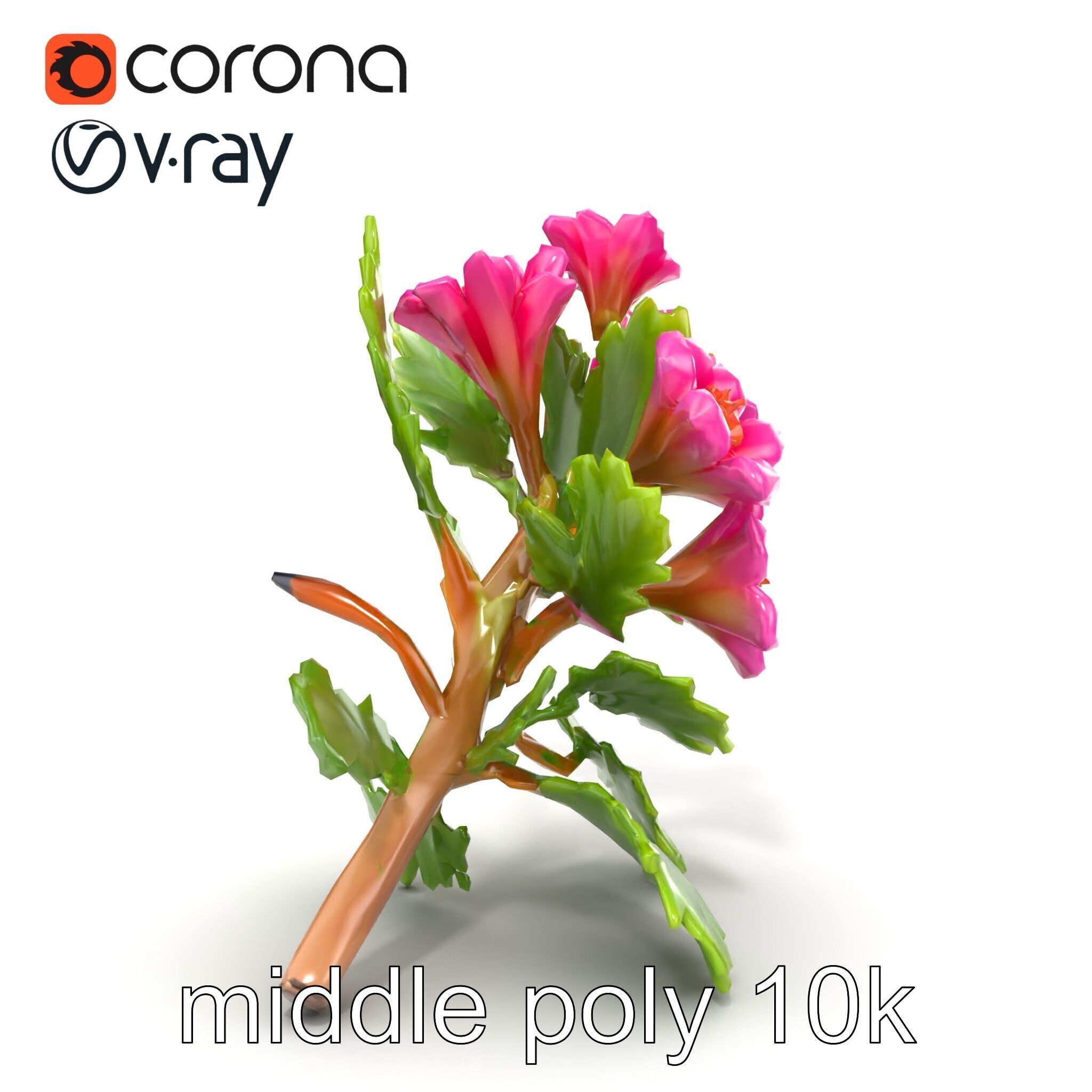 Carduus Crispus Curly Leaf Flower model pack Low-poly 3D model_19