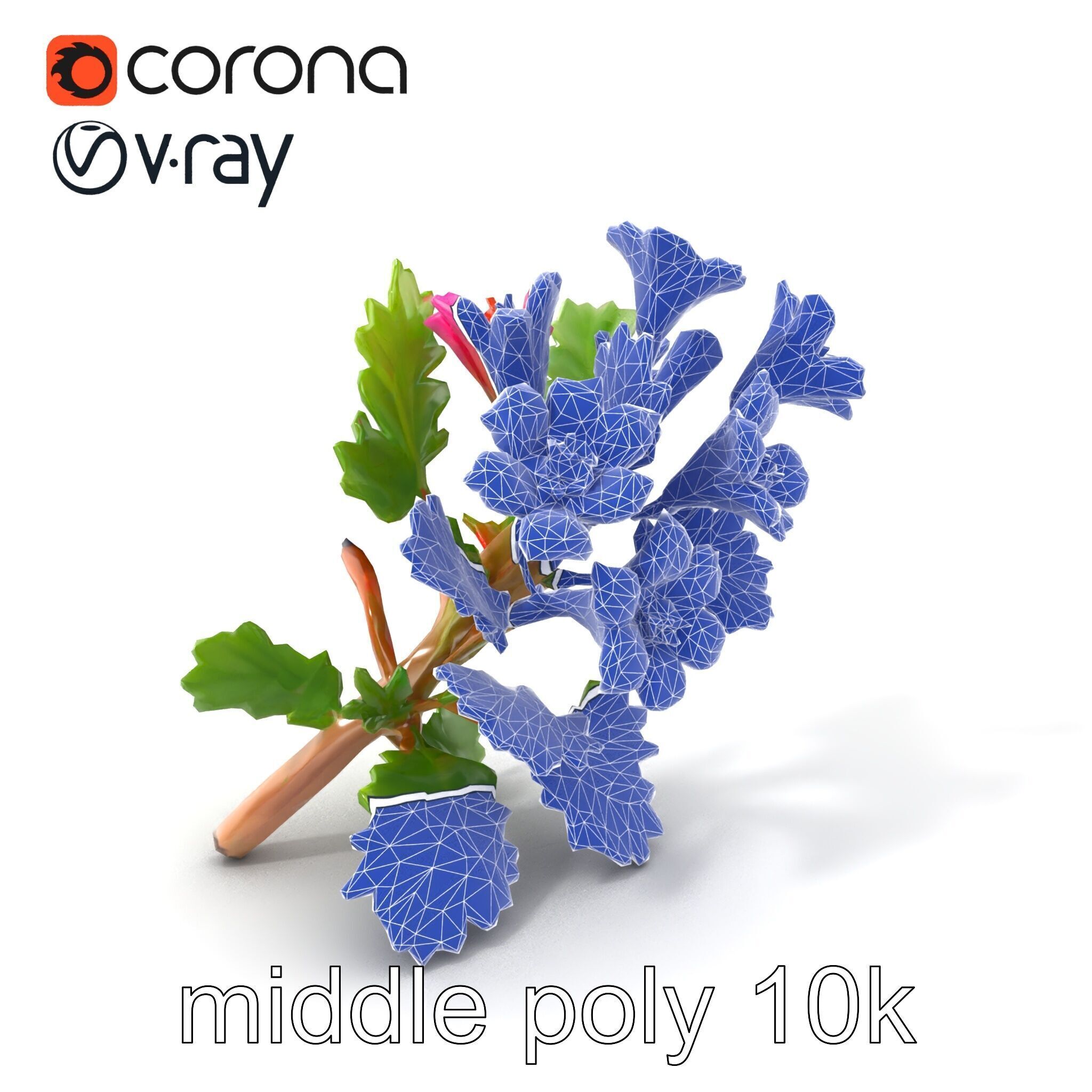 Carduus Crispus Curly Leaf Flower model pack Low-poly 3D model_6