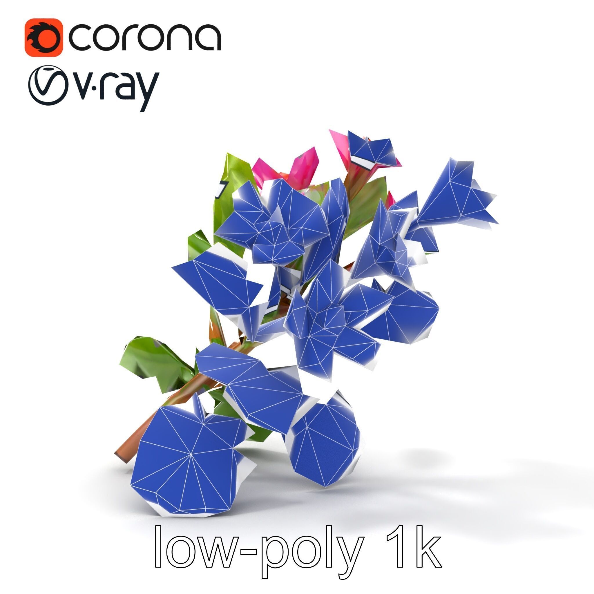 Carduus Crispus Curly Leaf Flower model pack Low-poly 3D model_32