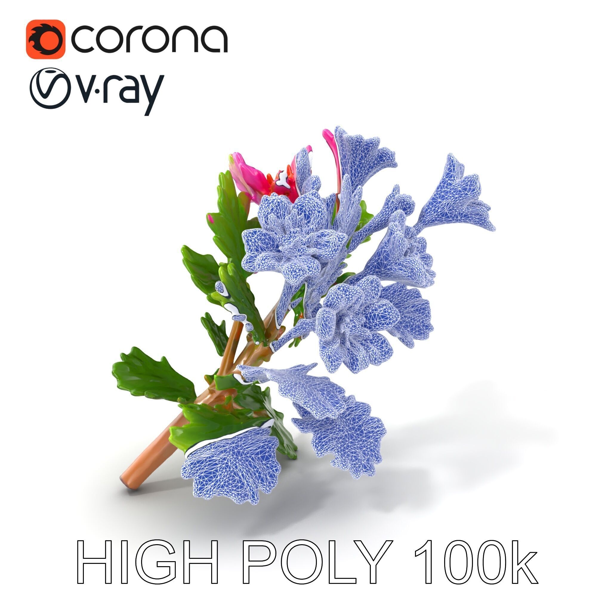 Carduus Crispus Curly Leaf Flower model pack Low-poly 3D model_10