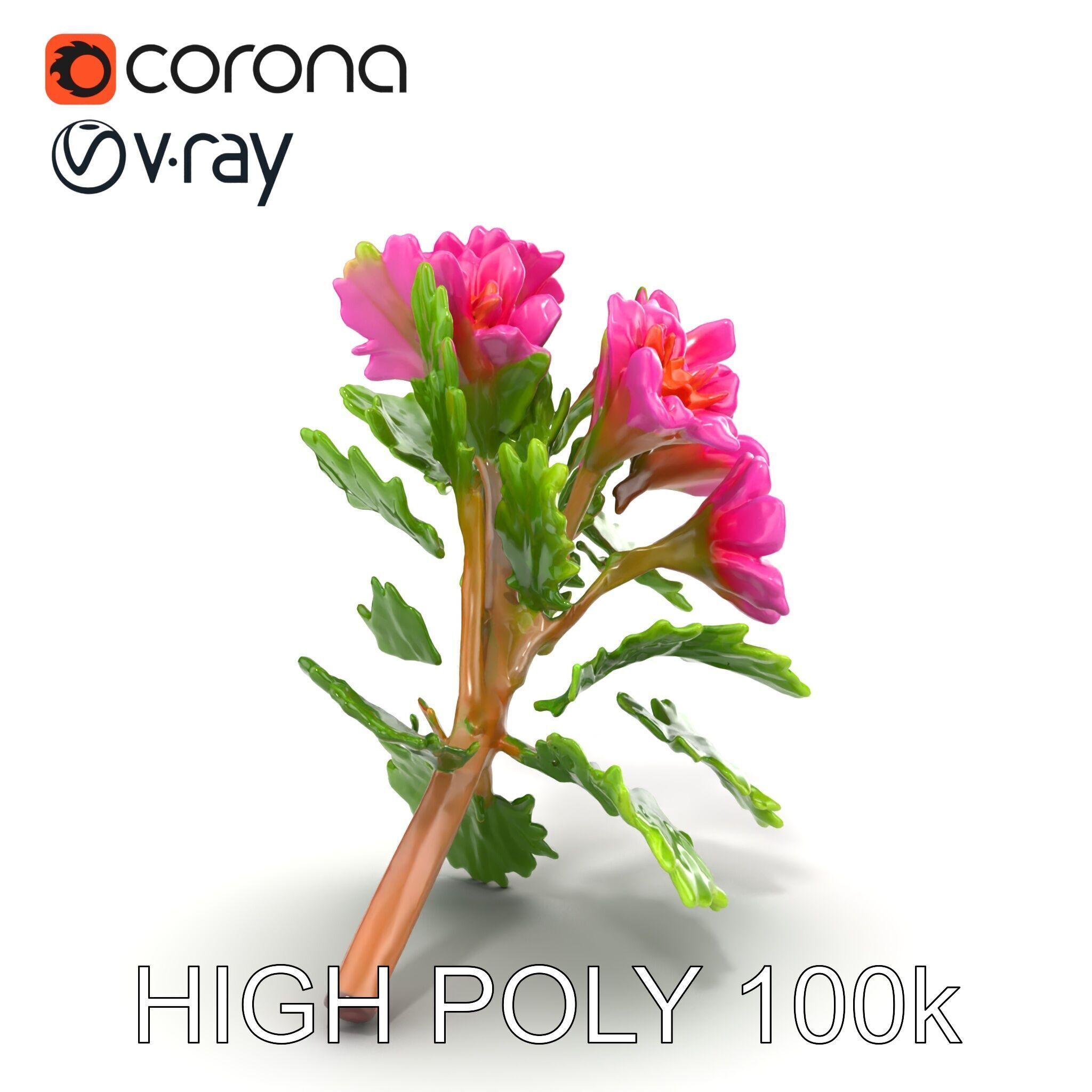 Carduus Crispus Curly Leaf Flower model pack Low-poly 3D model_18
