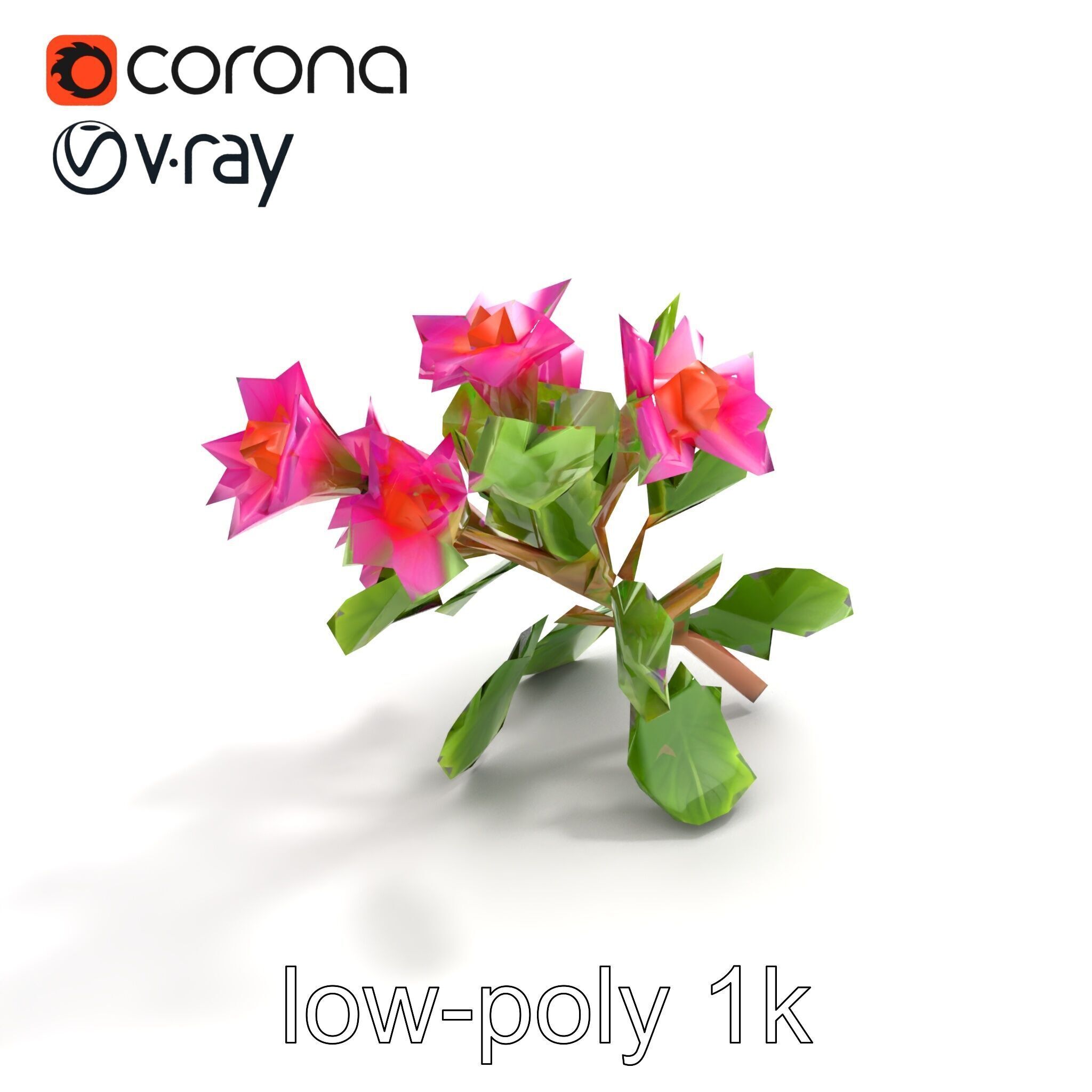Carduus Crispus Curly Leaf Flower model pack Low-poly 3D model_9