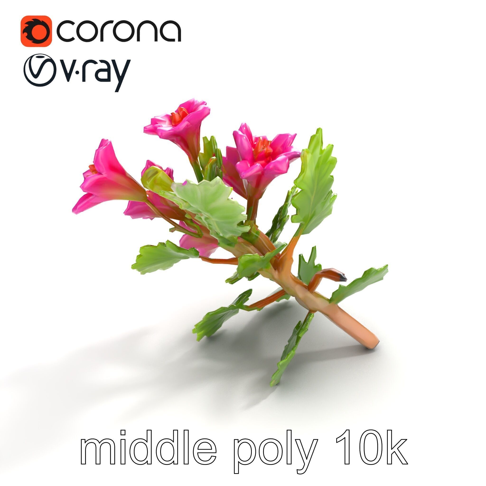 Carduus Crispus Curly Leaf Flower model pack Low-poly 3D model_8