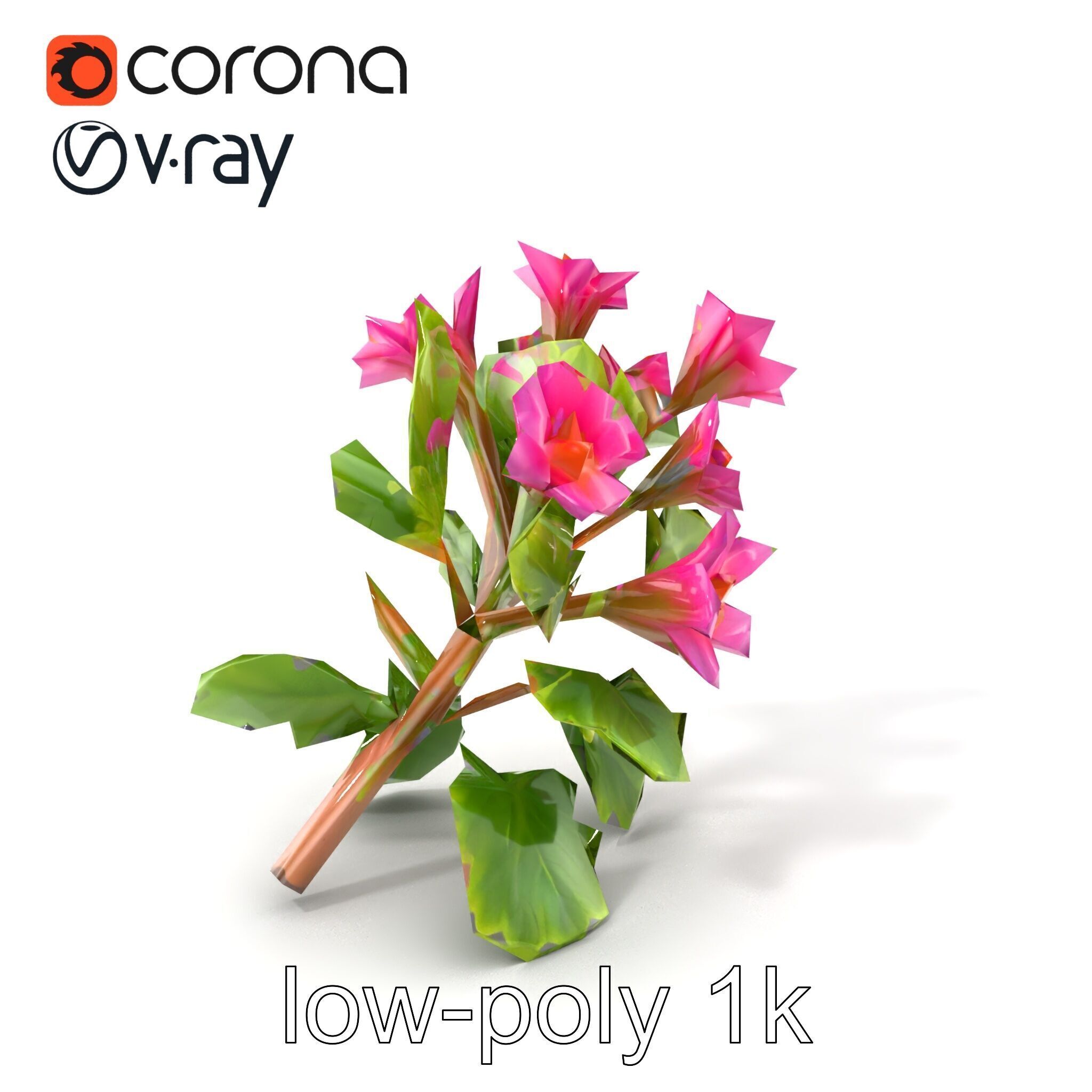 Carduus Crispus Curly Leaf Flower model pack Low-poly 3D model_5