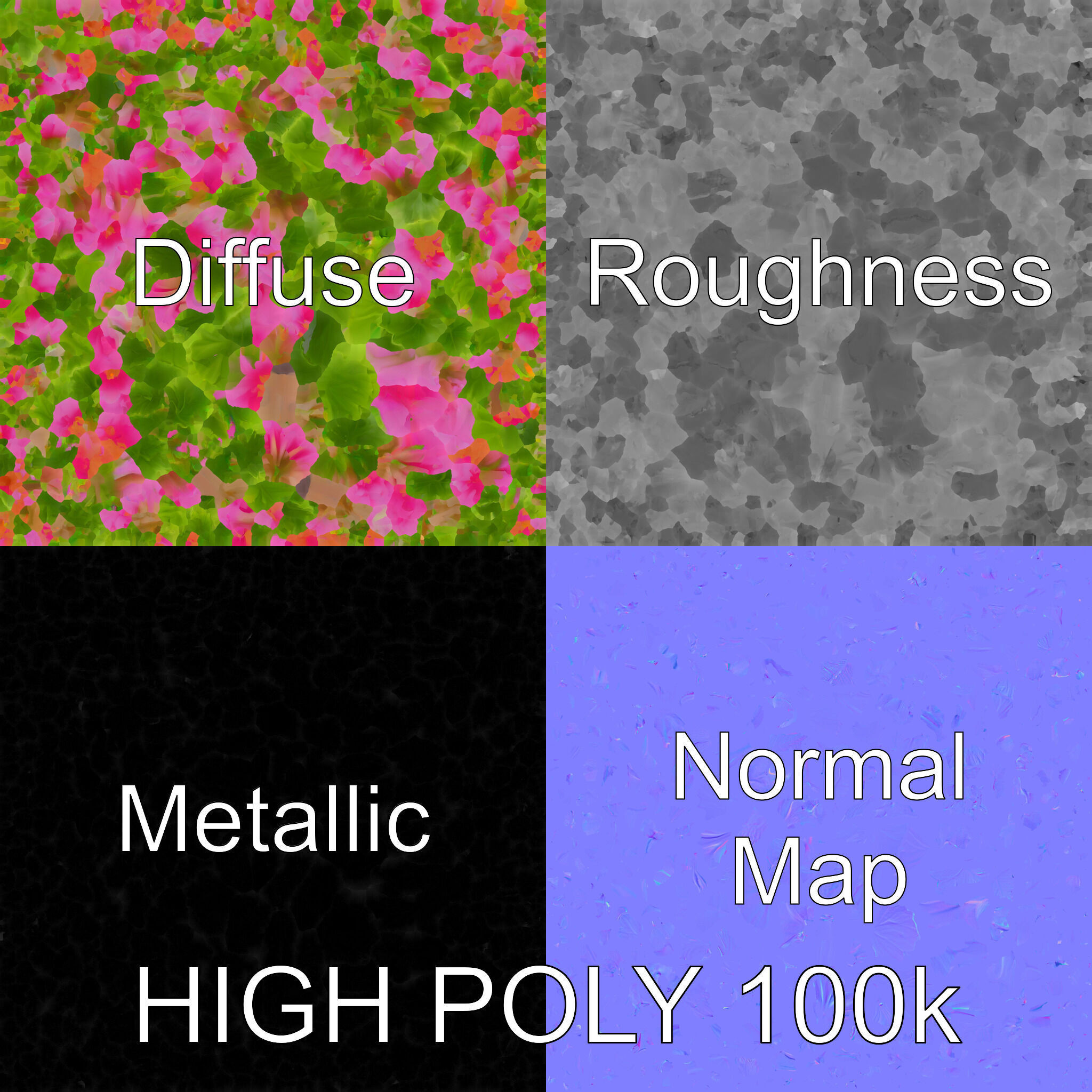 Carduus Crispus Curly Leaf Flower model pack Low-poly 3D model_3