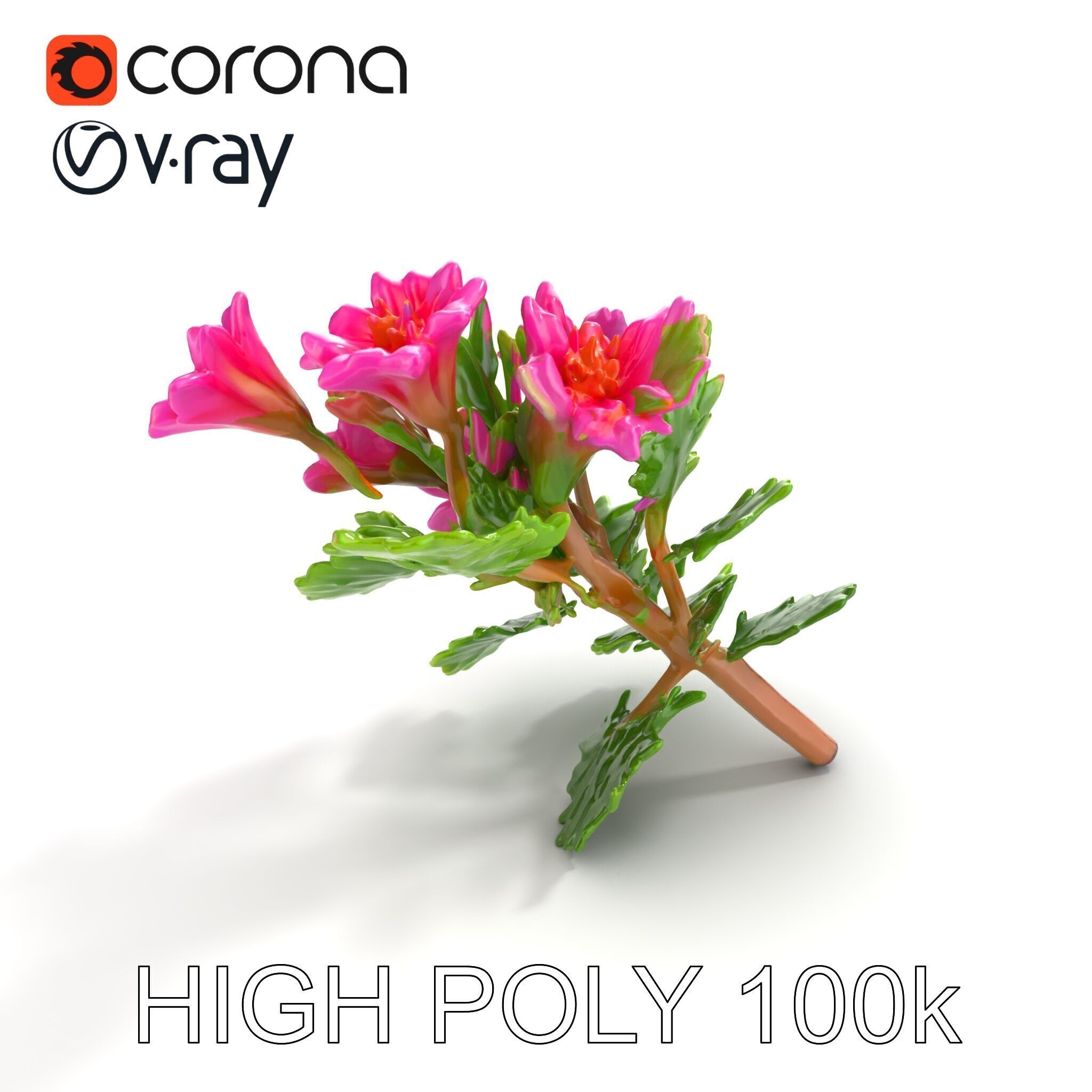 Carduus Crispus Curly Leaf Flower model pack Low-poly 3D model_13