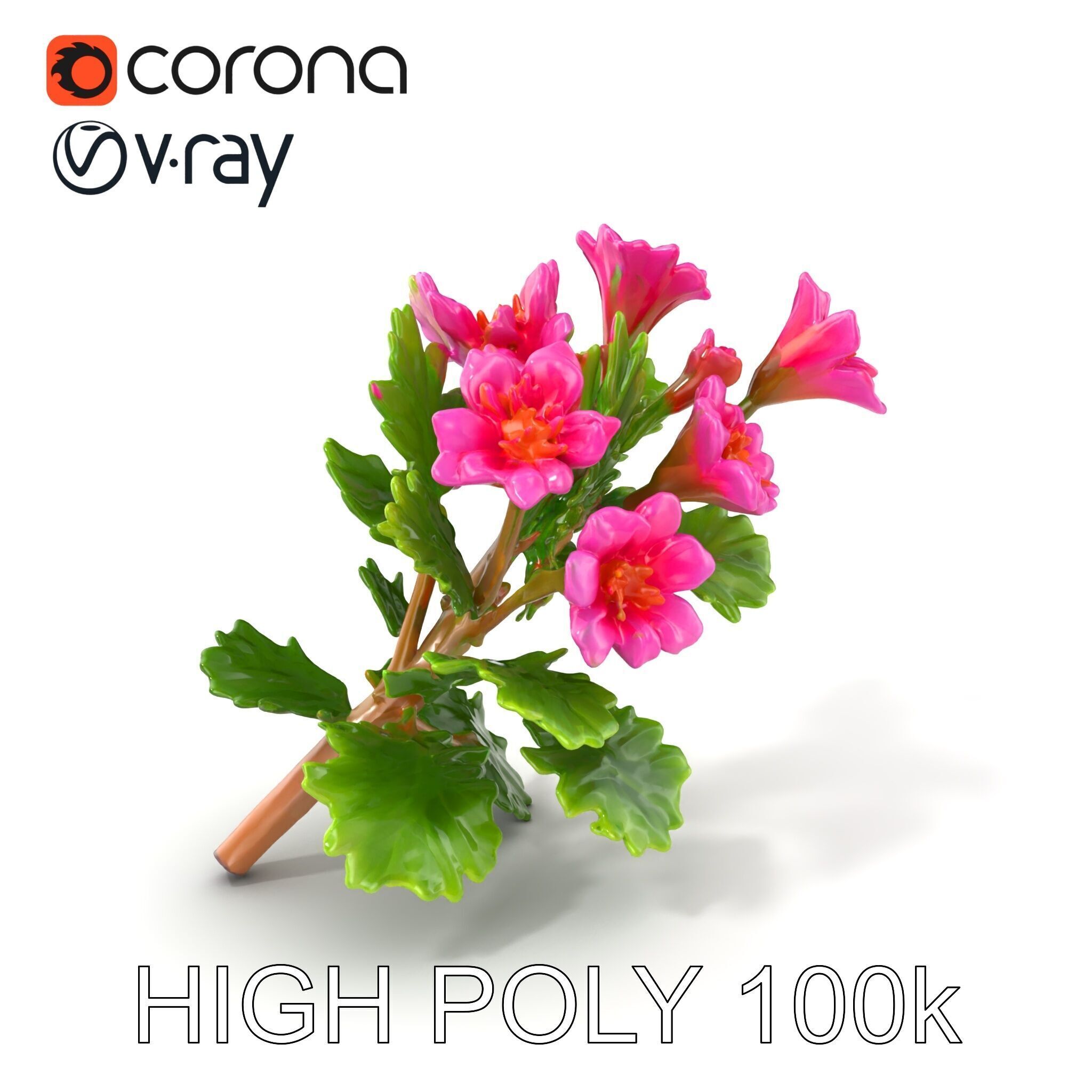 Carduus Crispus Curly Leaf Flower model pack Low-poly 3D model_2