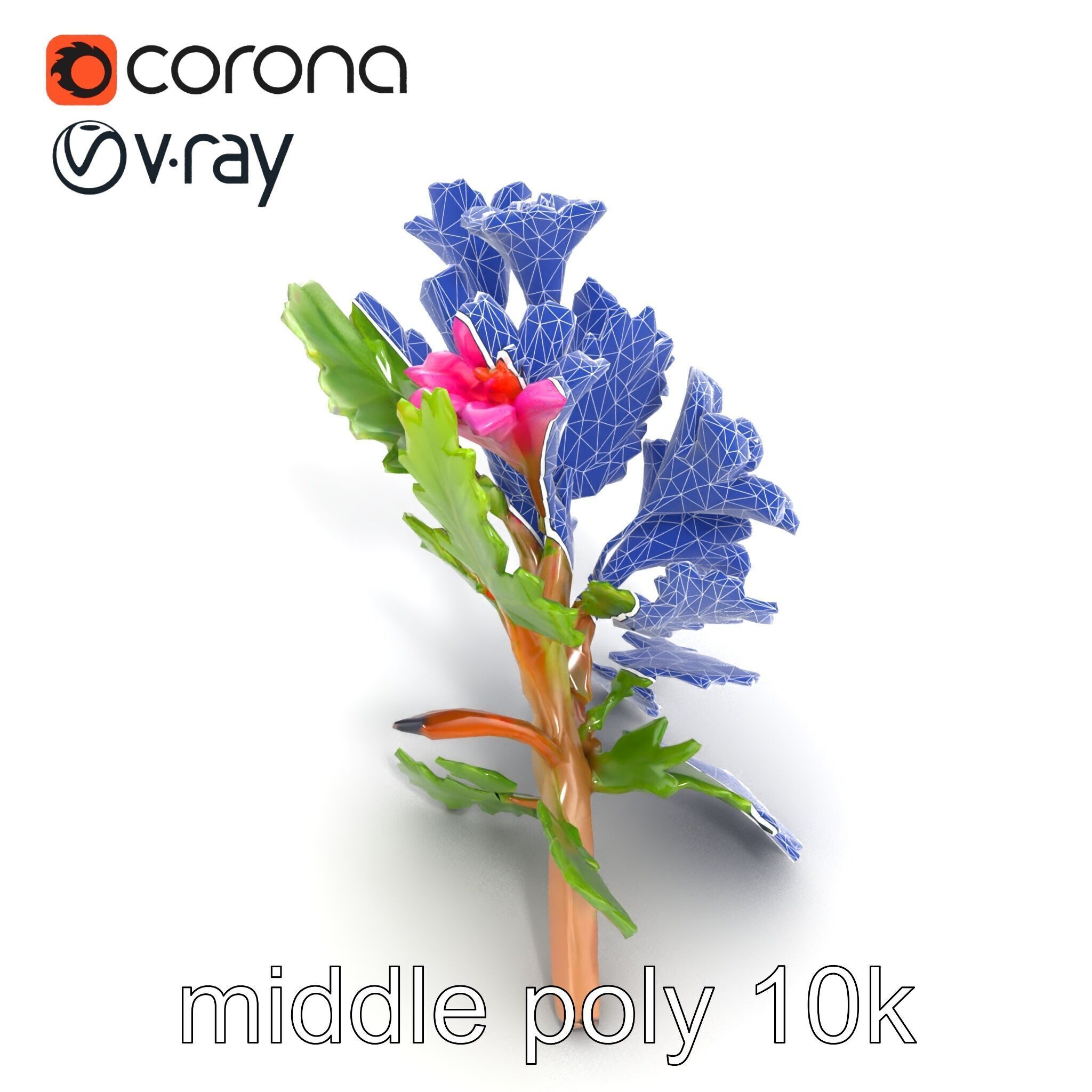 Carduus Crispus Curly Leaf Flower model pack Low-poly 3D model_31