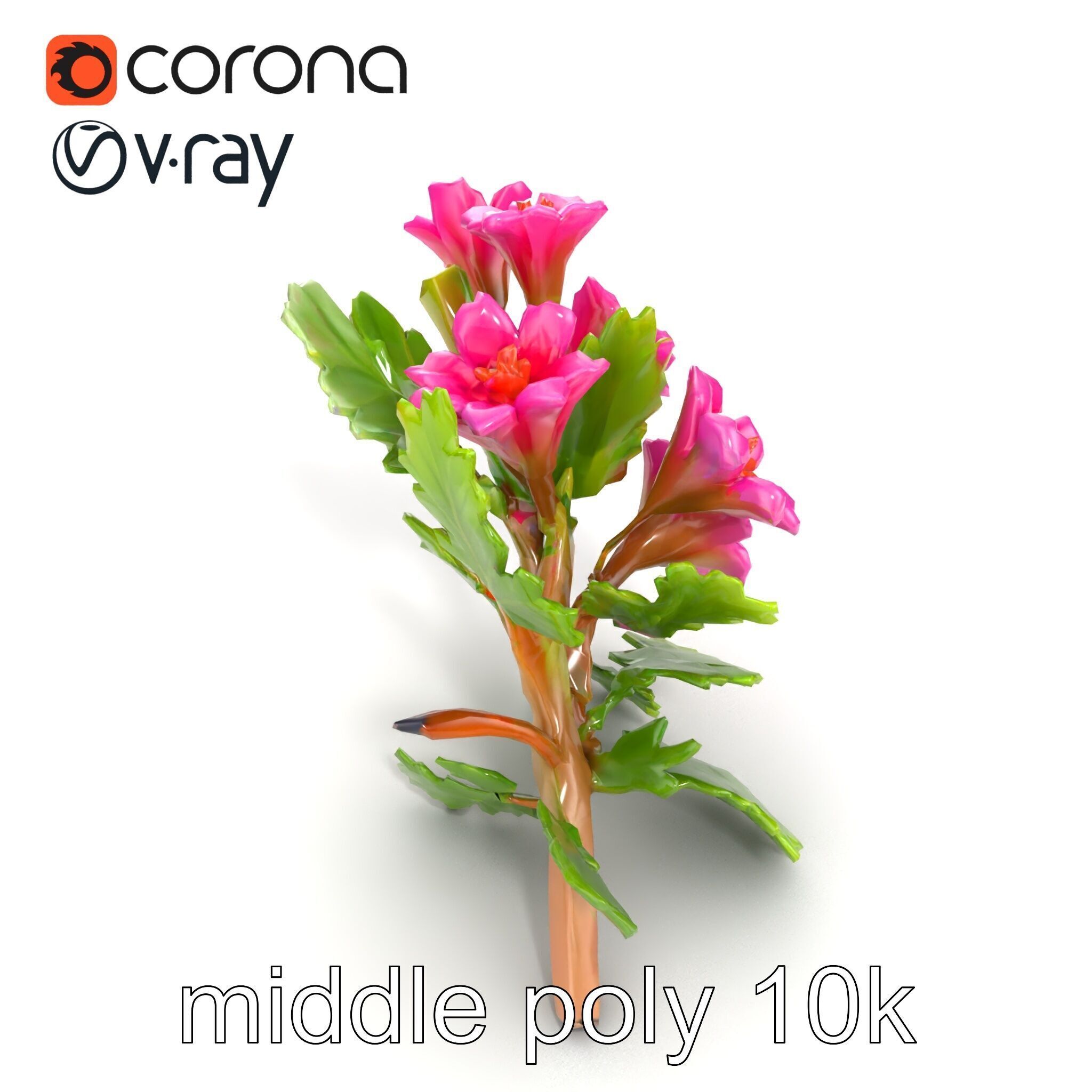 Carduus Crispus Curly Leaf Flower model pack Low-poly 3D model_25