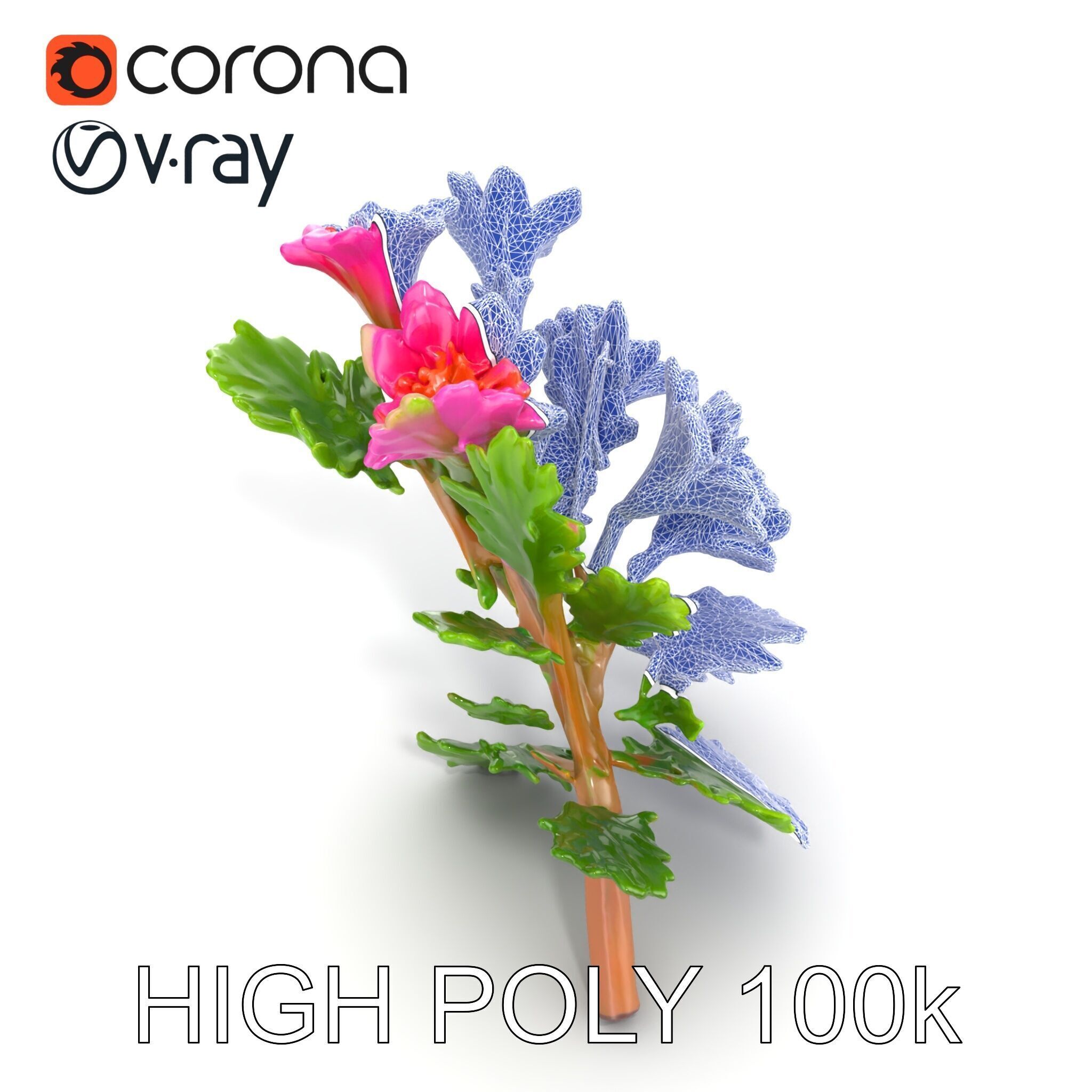 Carduus Crispus Curly Leaf Flower model pack Low-poly 3D model_28