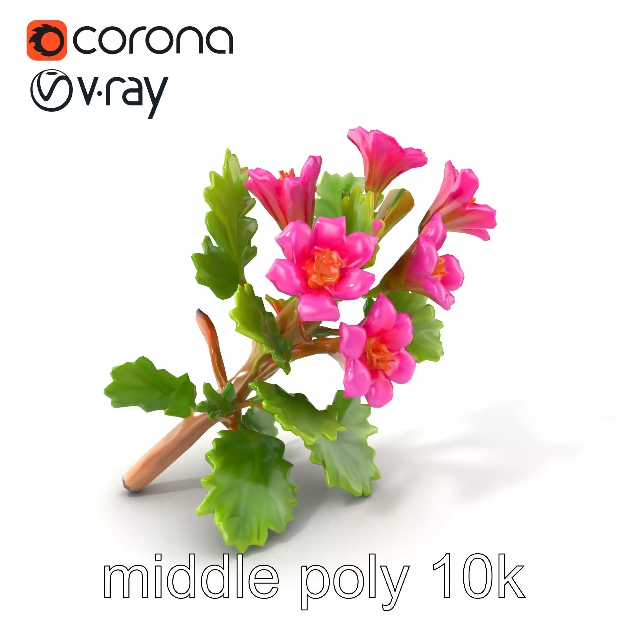 Carduus Crispus Curly Leaf Flower model pack Low-poly 3D model_0