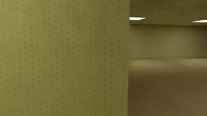 Backrooms Found footage - Kit