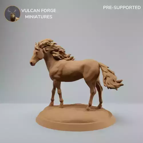 Horse stallion with big mane standing pre supported