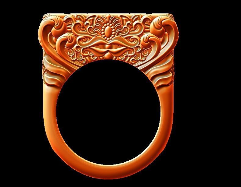 Ornament Ring 3D print model_1