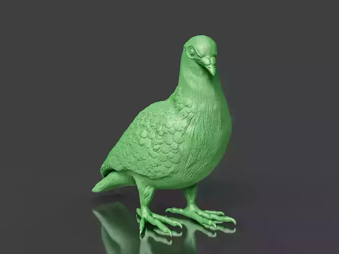 Male Dove Pigeon Toy