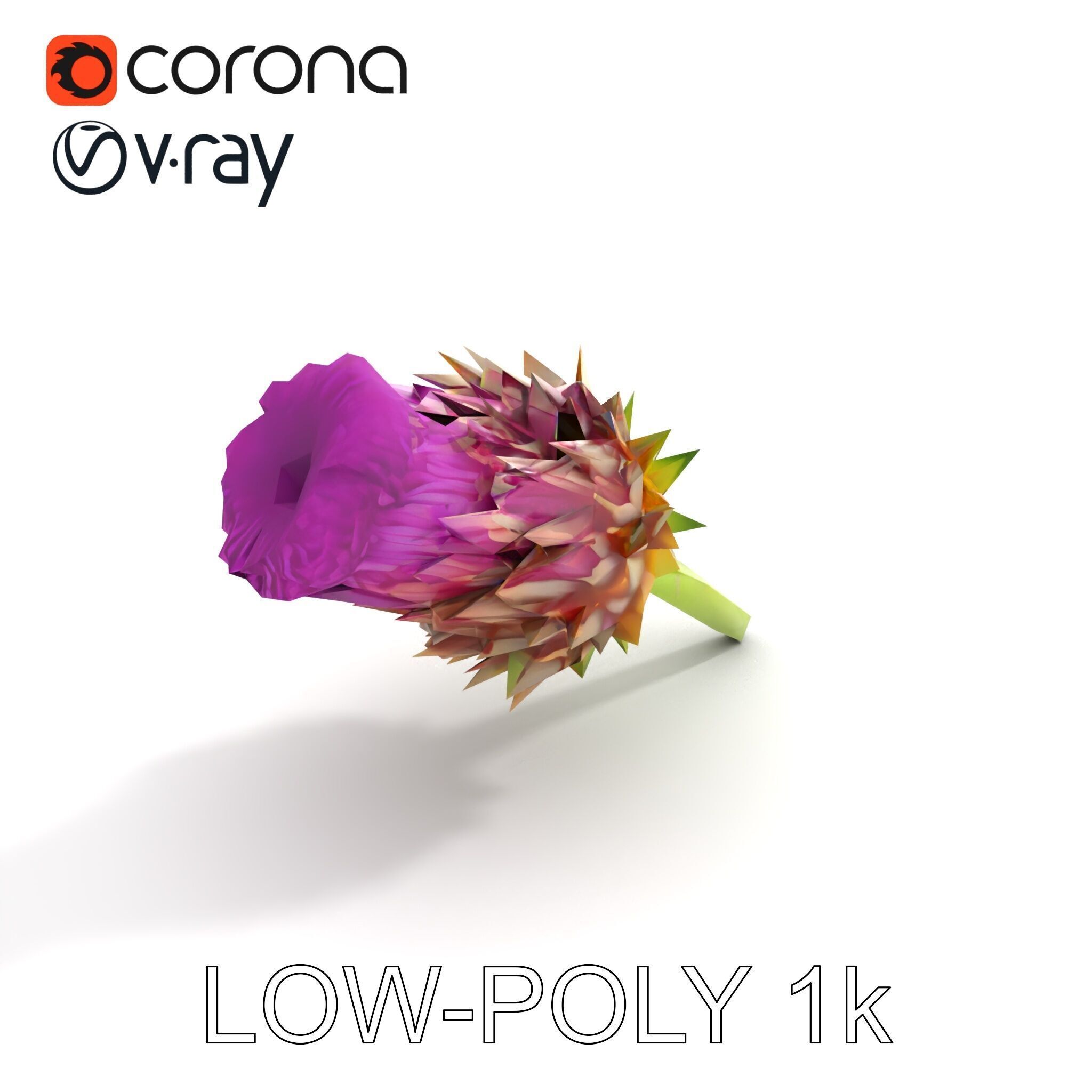 Thistle Flower with Detailed Textures Model Pack Low-poly 3D model_9