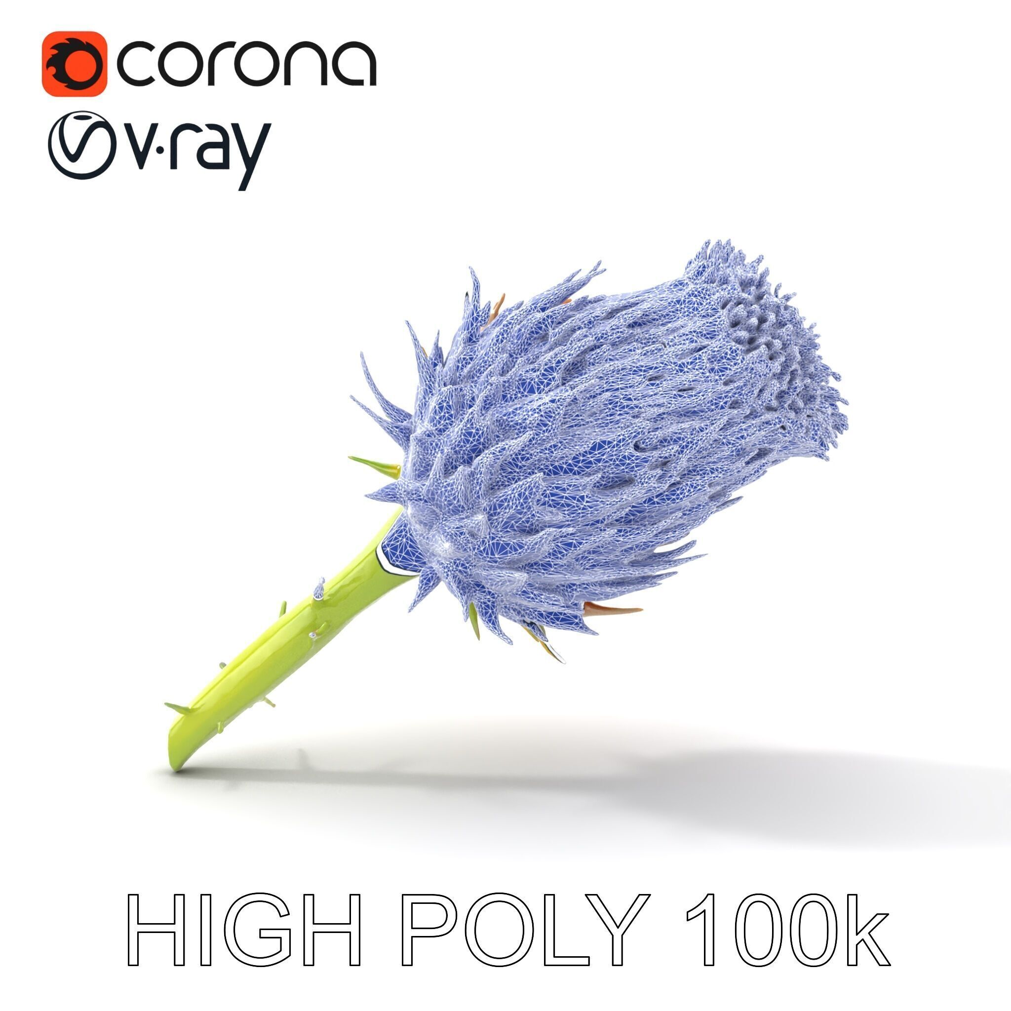 Thistle Flower with Detailed Textures Model Pack Low-poly 3D model_19