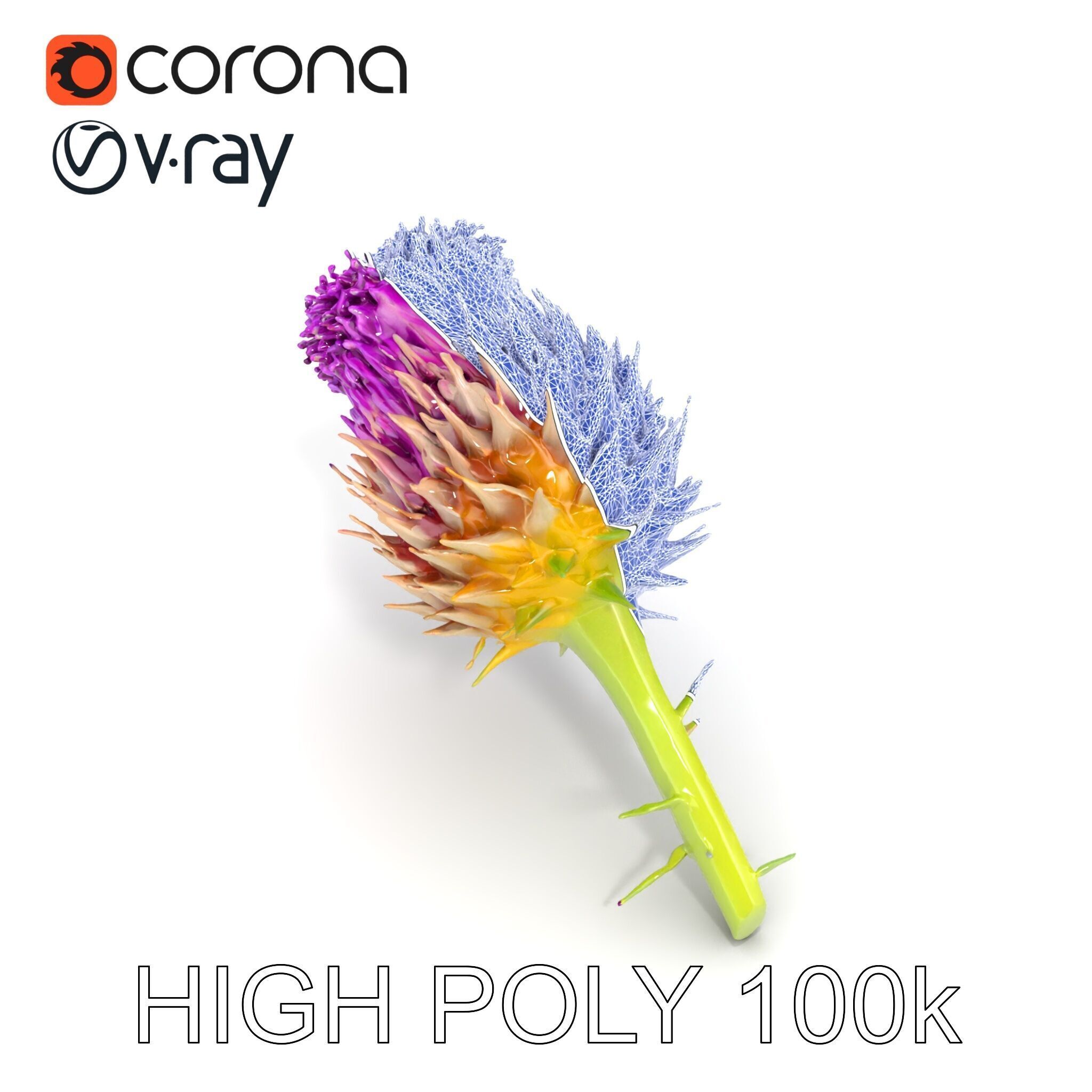 Thistle Flower with Detailed Textures Model Pack Low-poly 3D model_17