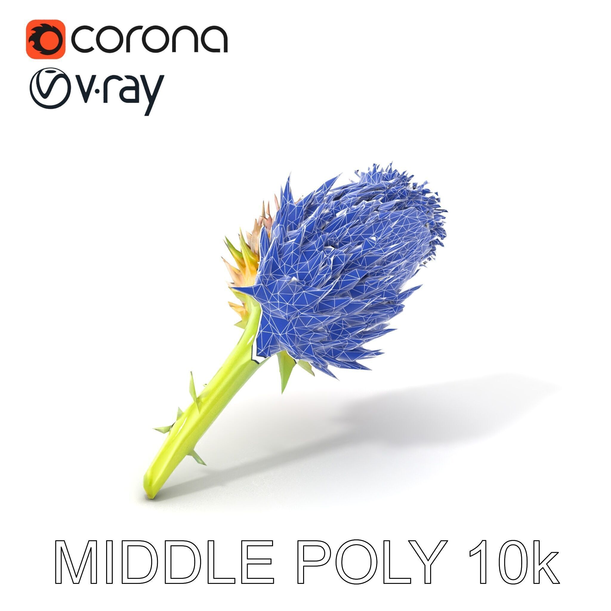 Thistle Flower with Detailed Textures Model Pack Low-poly 3D model_6