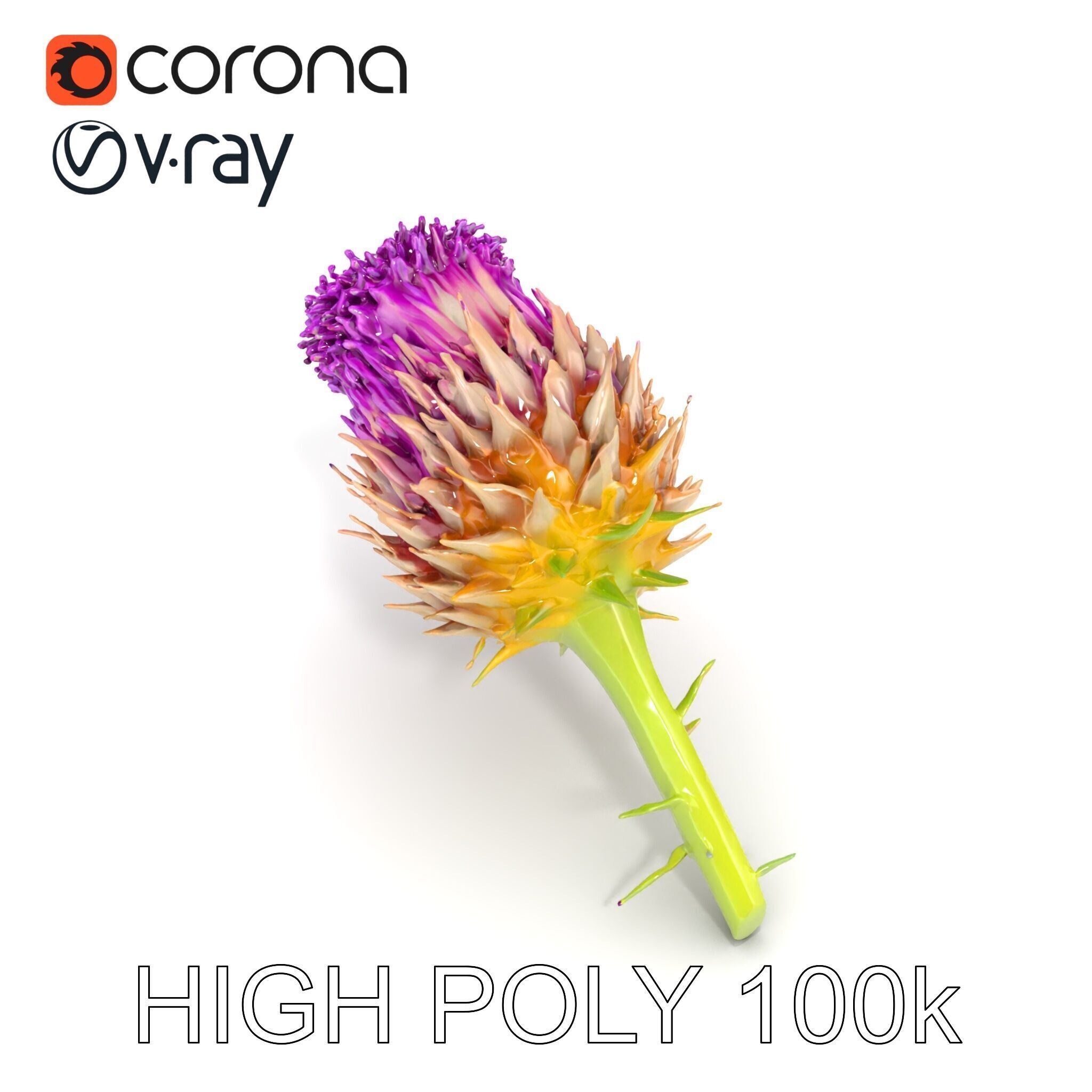 Thistle Flower with Detailed Textures Model Pack Low-poly 3D model_32