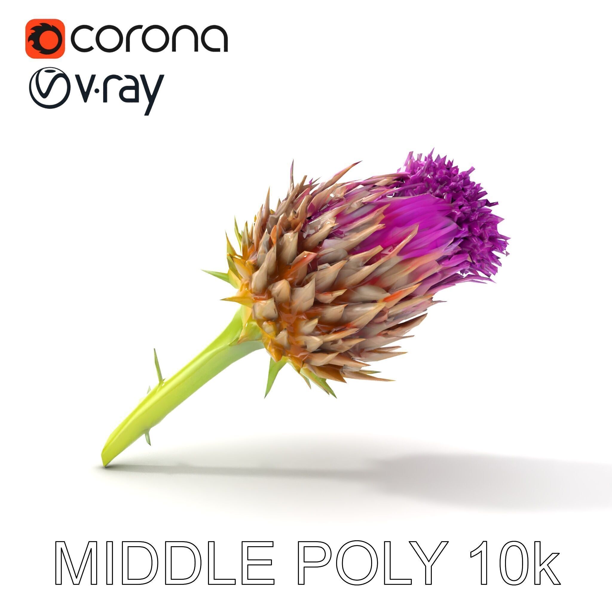 Thistle Flower with Detailed Textures Model Pack Low-poly 3D model_29