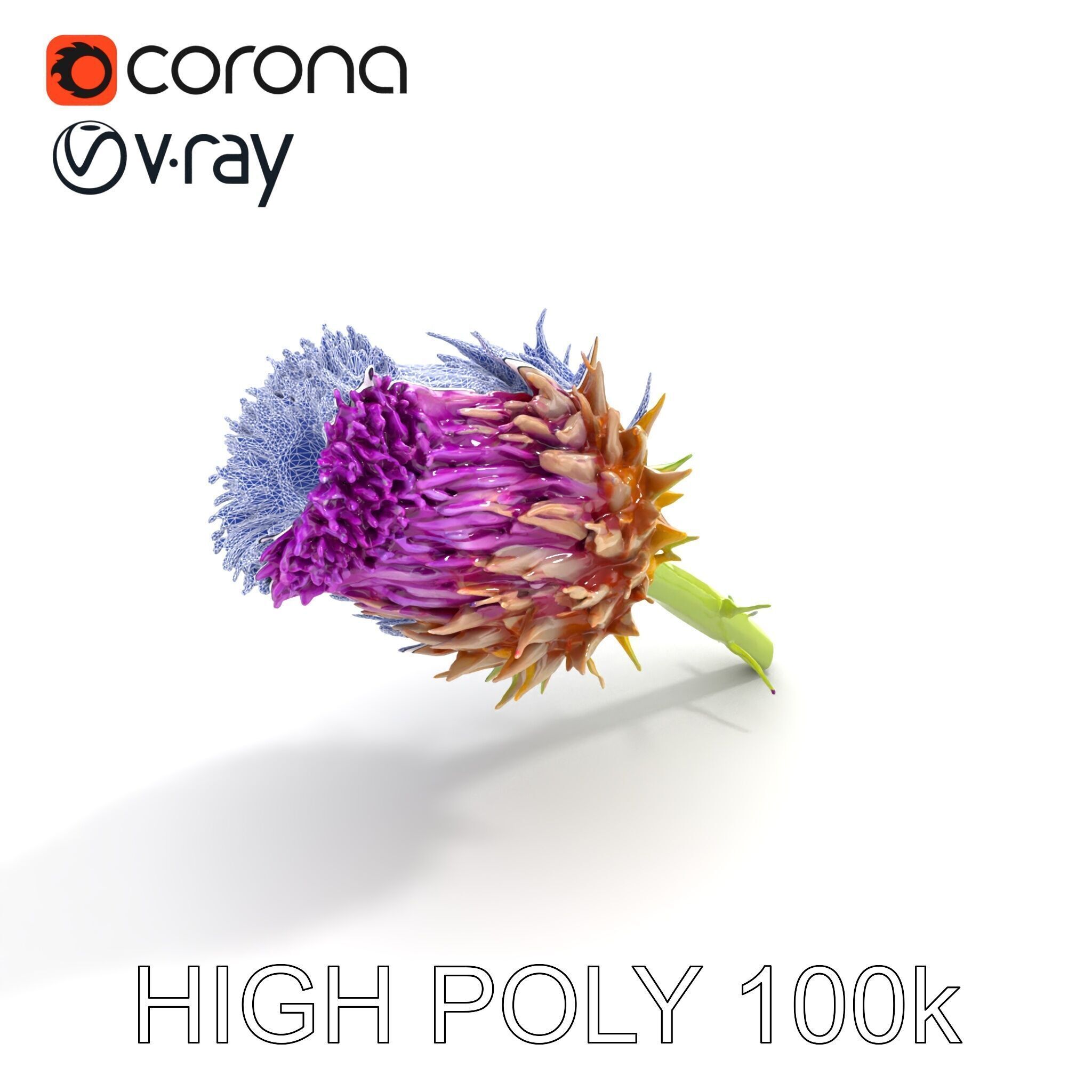 Thistle Flower with Detailed Textures Model Pack Low-poly 3D model_22