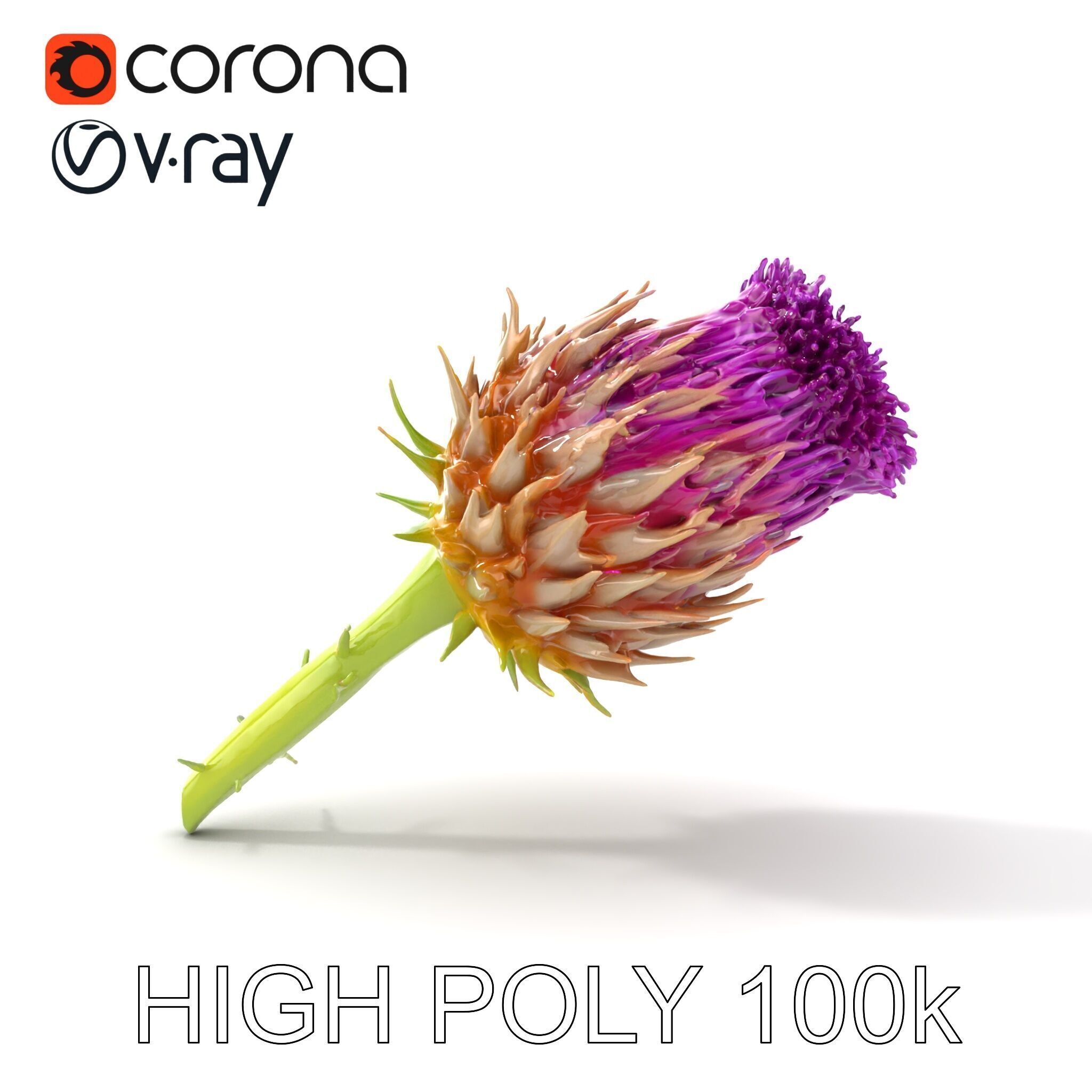 Thistle Flower with Detailed Textures Model Pack Low-poly 3D model_31
