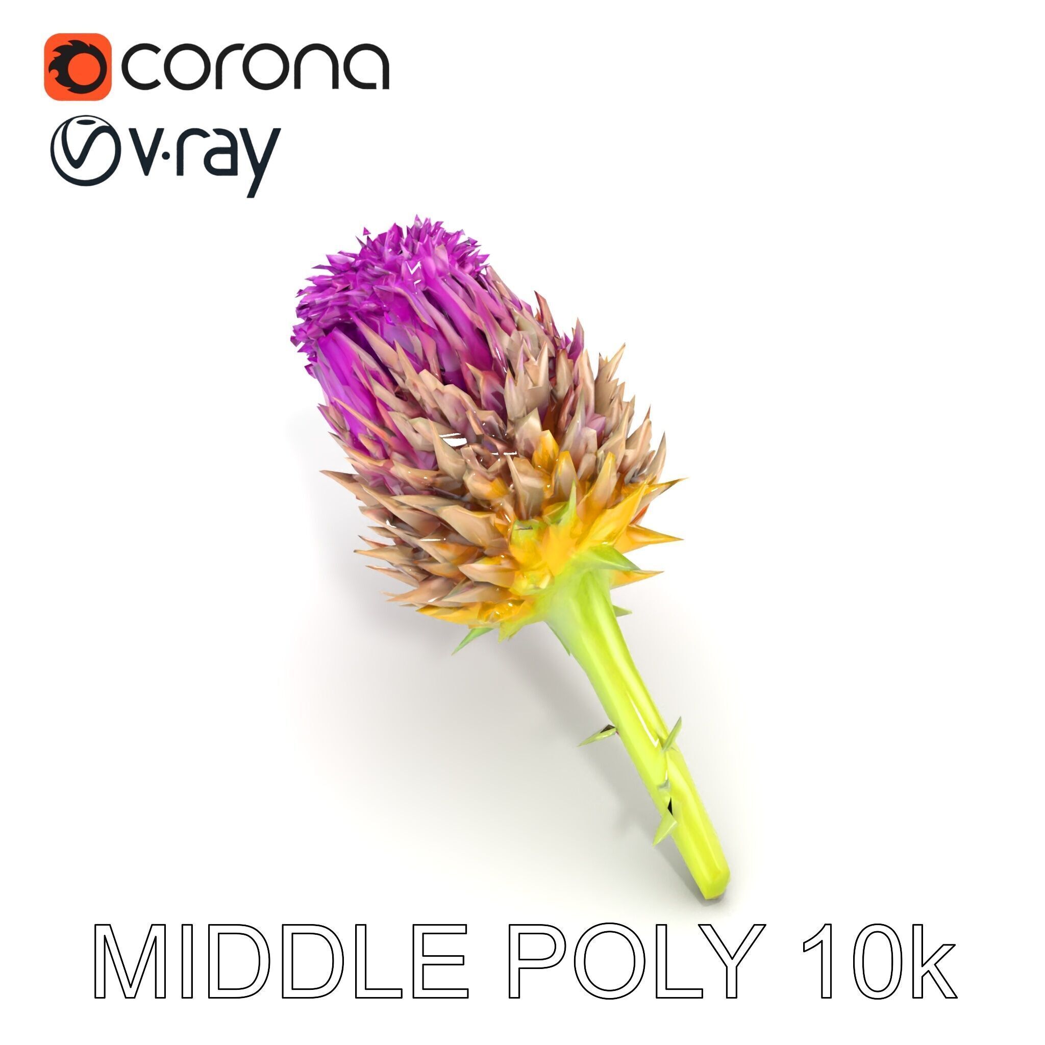 Thistle Flower with Detailed Textures Model Pack Low-poly 3D model_15