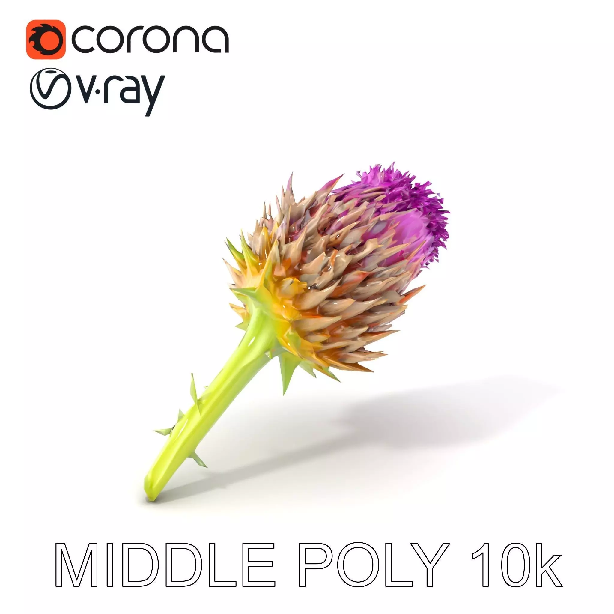Thistle Flower with Detailed Textures Model Pack Low-poly 3D model_0