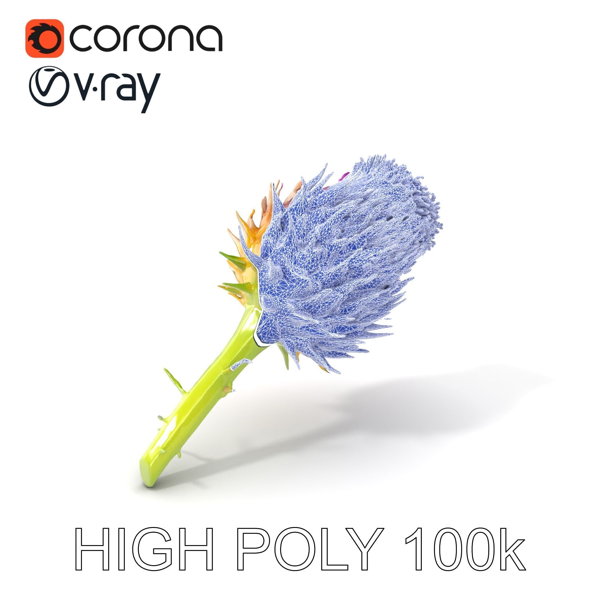 Thistle Flower with Detailed Textures Model Pack Low-poly 3D model_10
