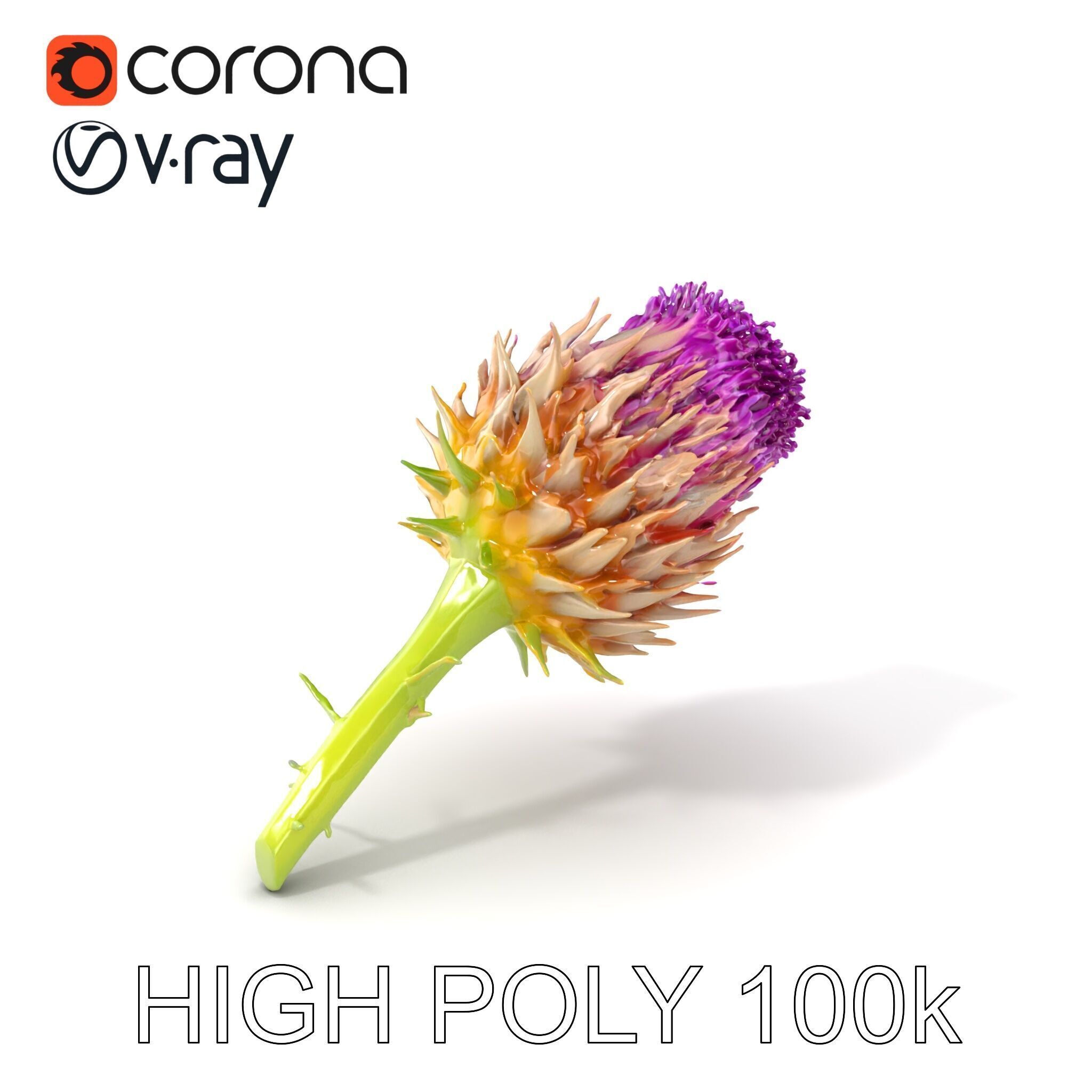 Thistle Flower with Detailed Textures Model Pack Low-poly 3D model_2