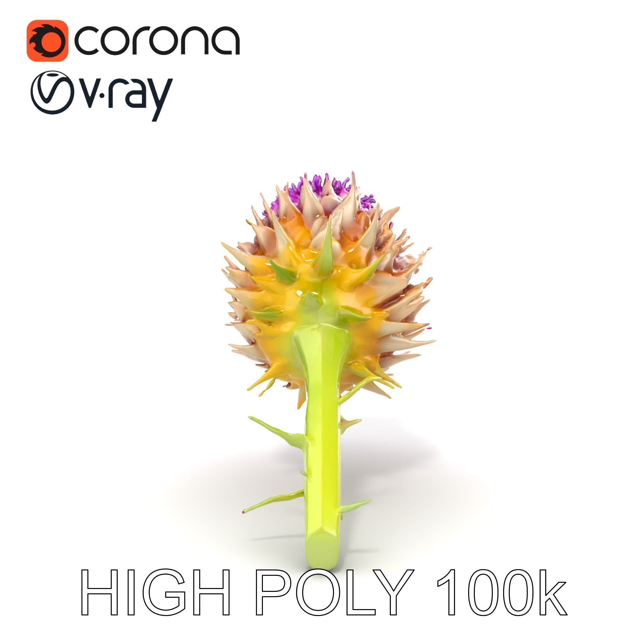 Thistle Flower with Detailed Textures Model Pack Low-poly 3D model_13