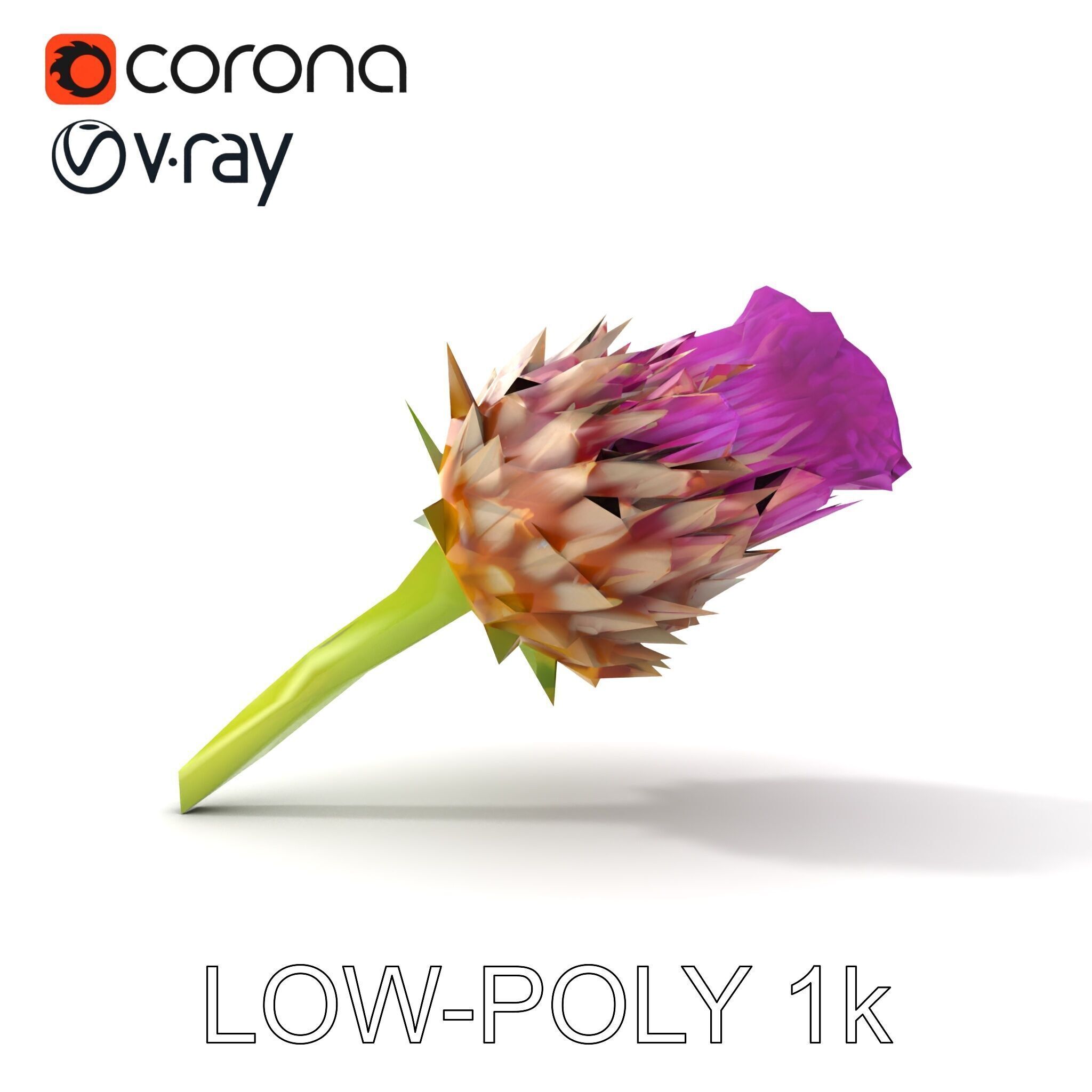 Thistle Flower with Detailed Textures Model Pack Low-poly 3D model_28