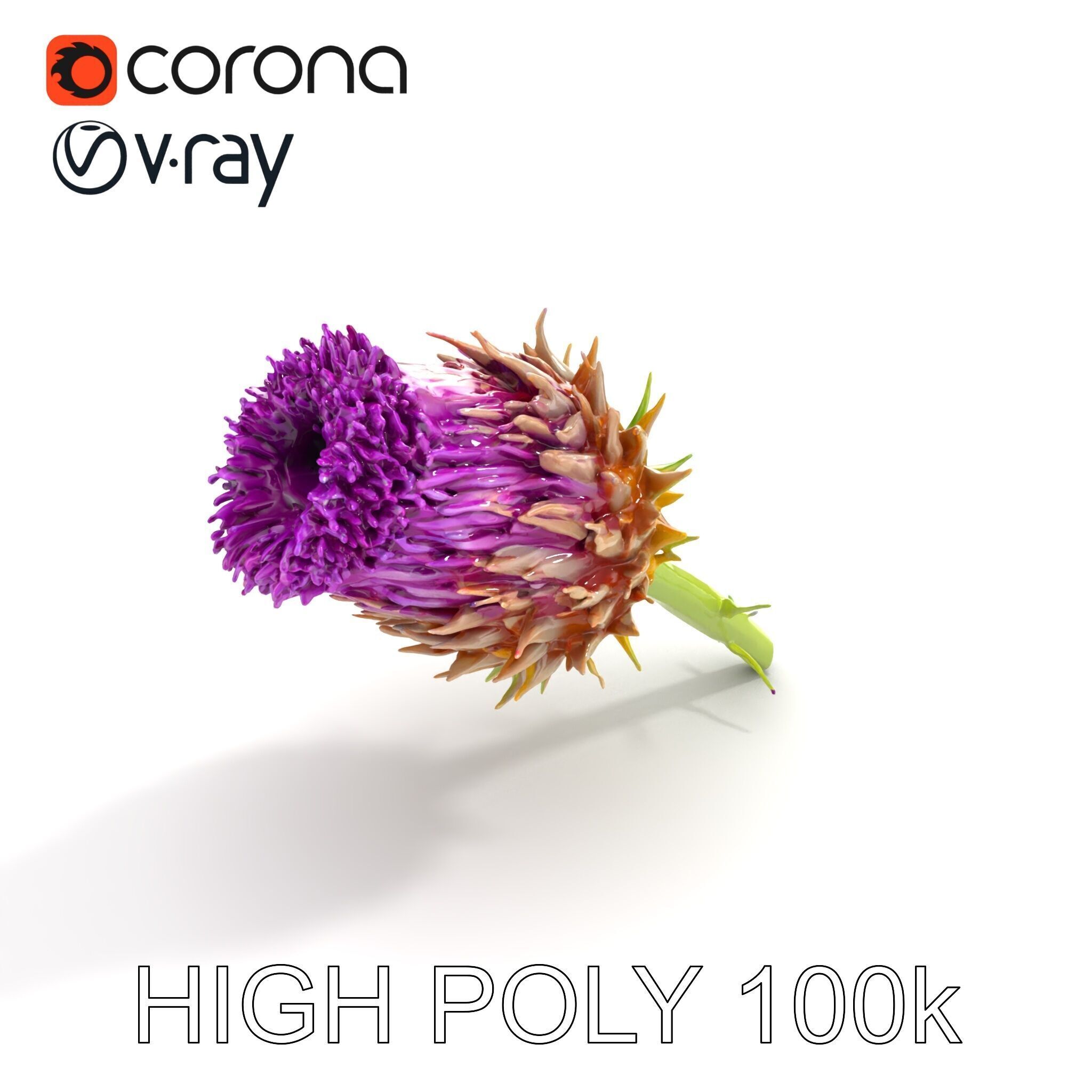 Thistle Flower with Detailed Textures Model Pack Low-poly 3D model_25