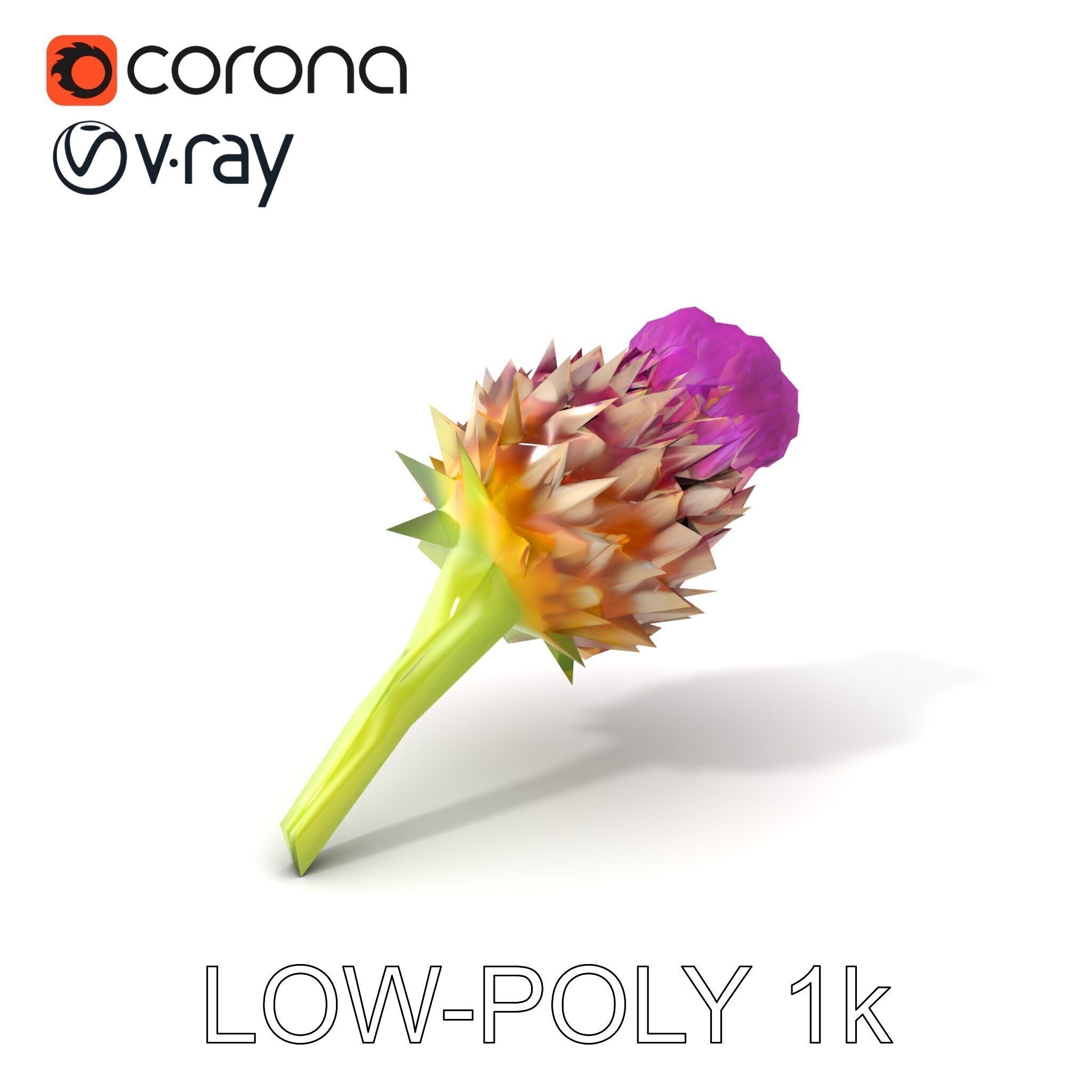 Thistle Flower with Detailed Textures Model Pack Low-poly 3D model_5