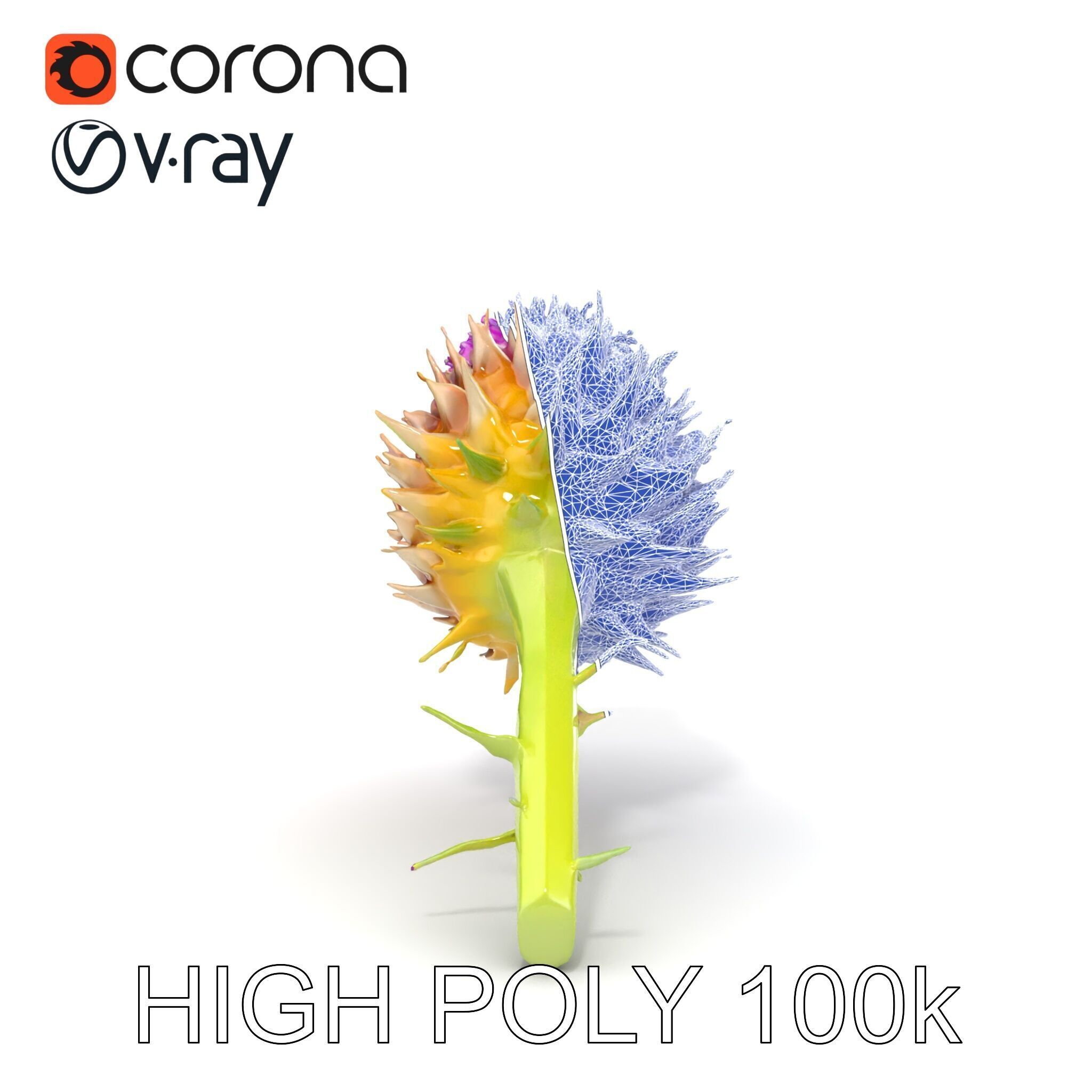 Thistle Flower with Detailed Textures Model Pack Low-poly 3D model_20