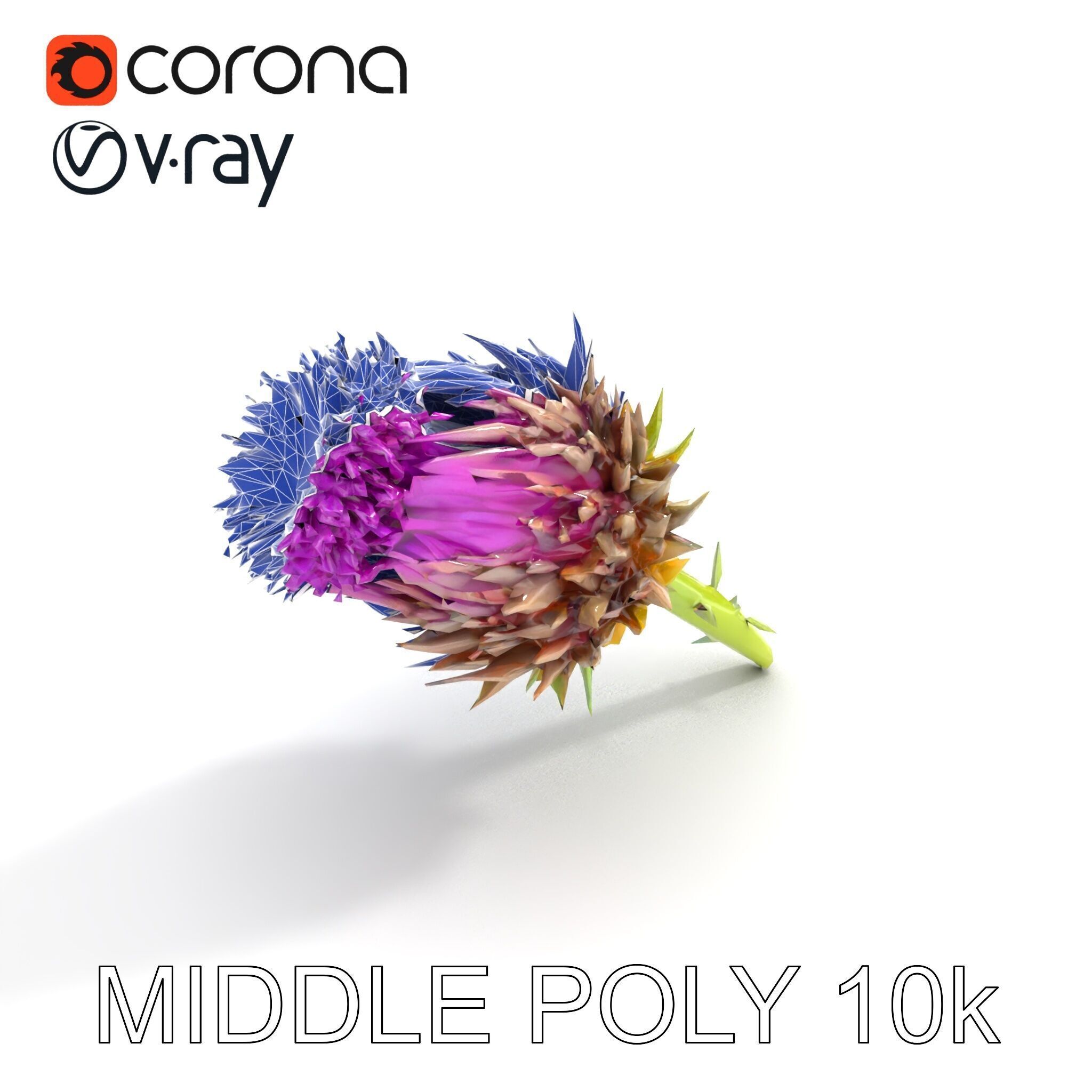 Thistle Flower with Detailed Textures Model Pack Low-poly 3D model_11