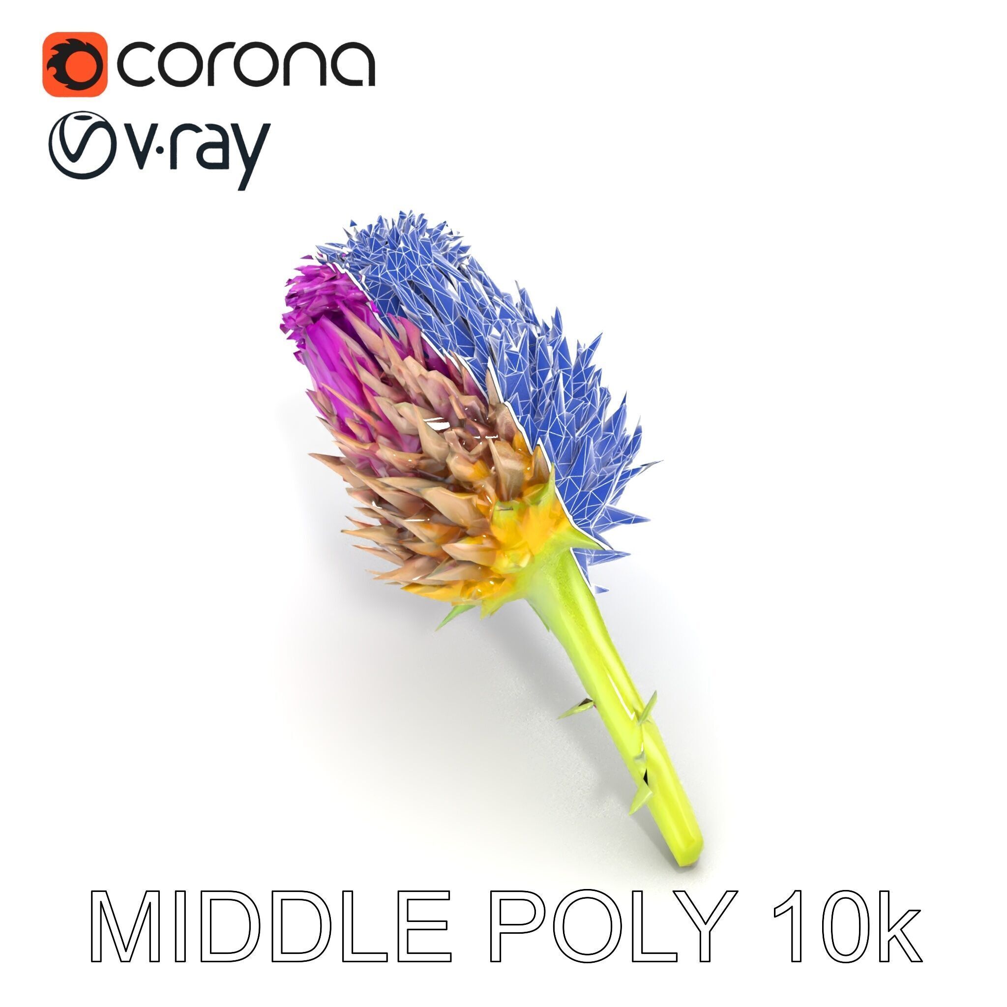 Thistle Flower with Detailed Textures Model Pack Low-poly 3D model_26