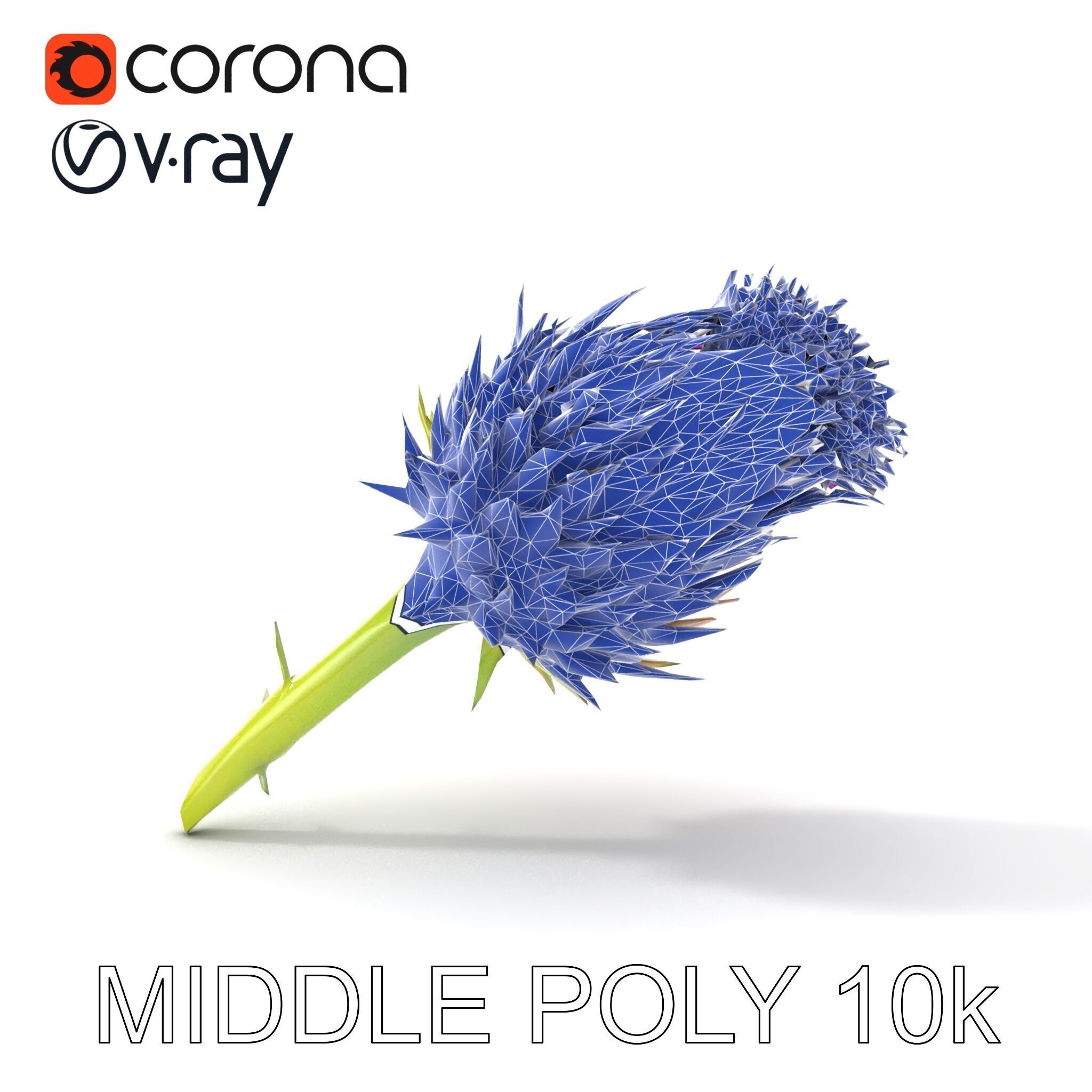 Thistle Flower with Detailed Textures Model Pack Low-poly 3D model_21