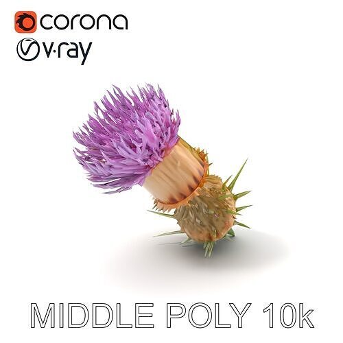 Thistle Flower Delicate Petal Model Pack Low-poly 3D model